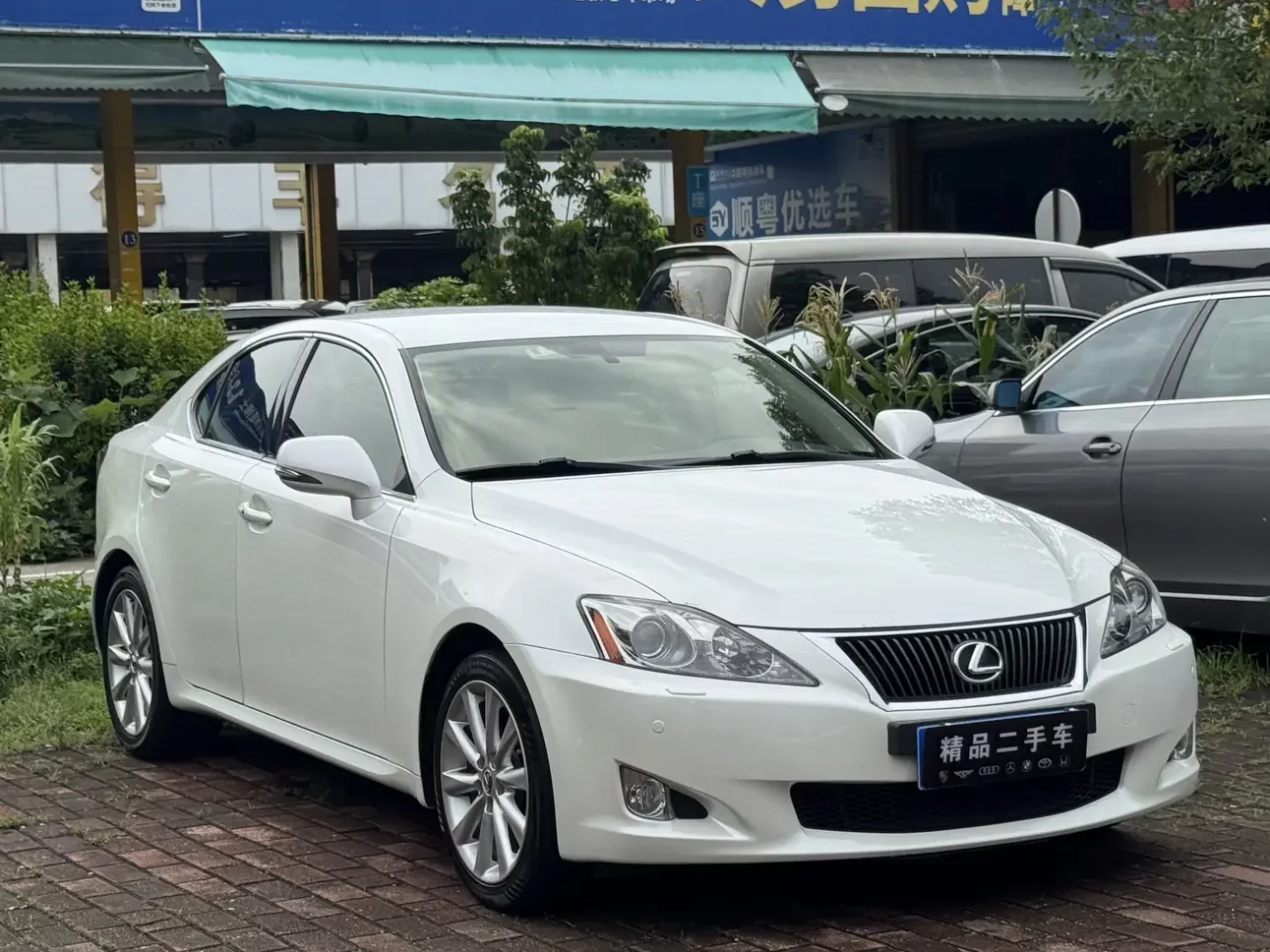 Lexus IS