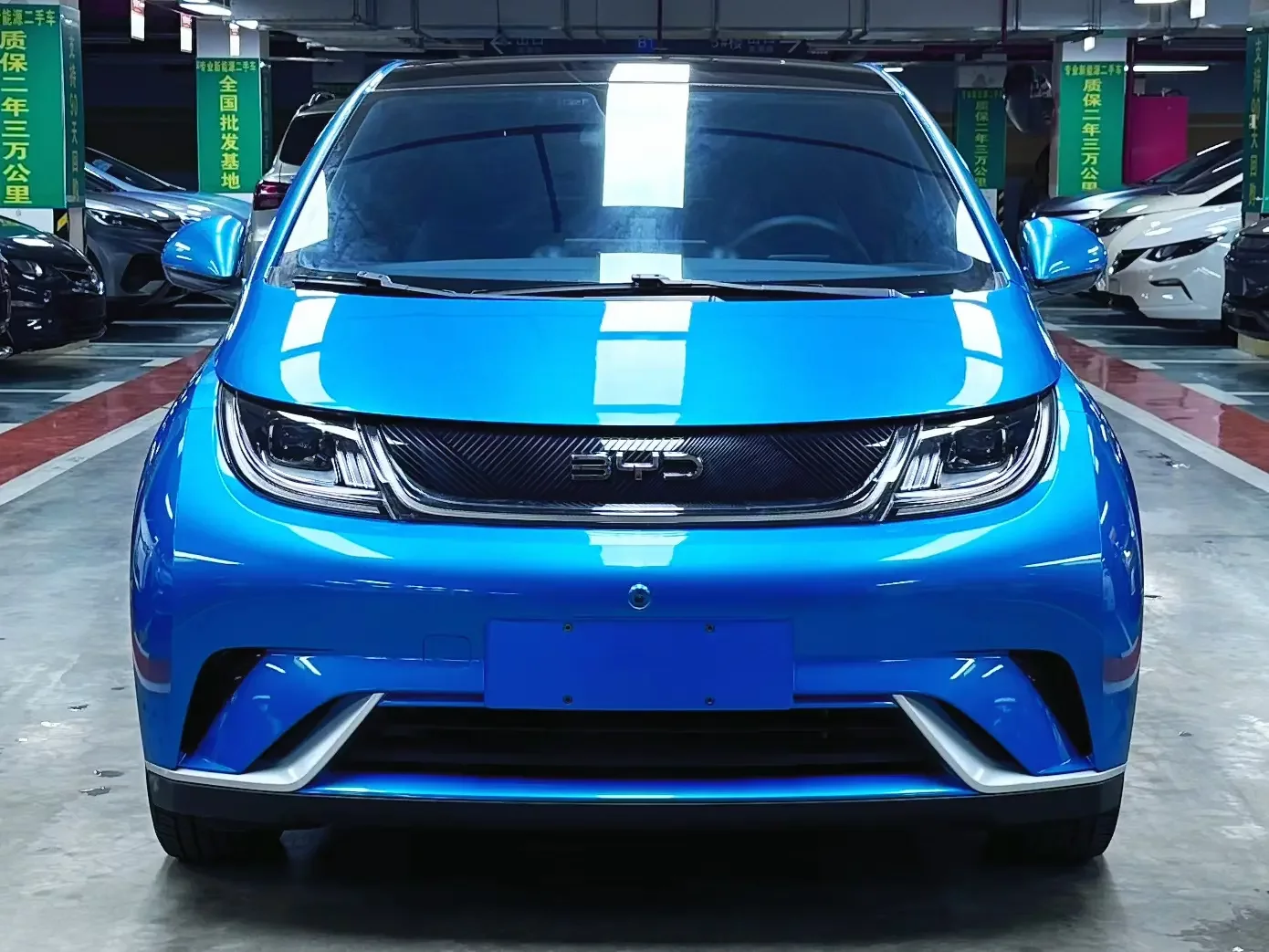 BYD dolphin