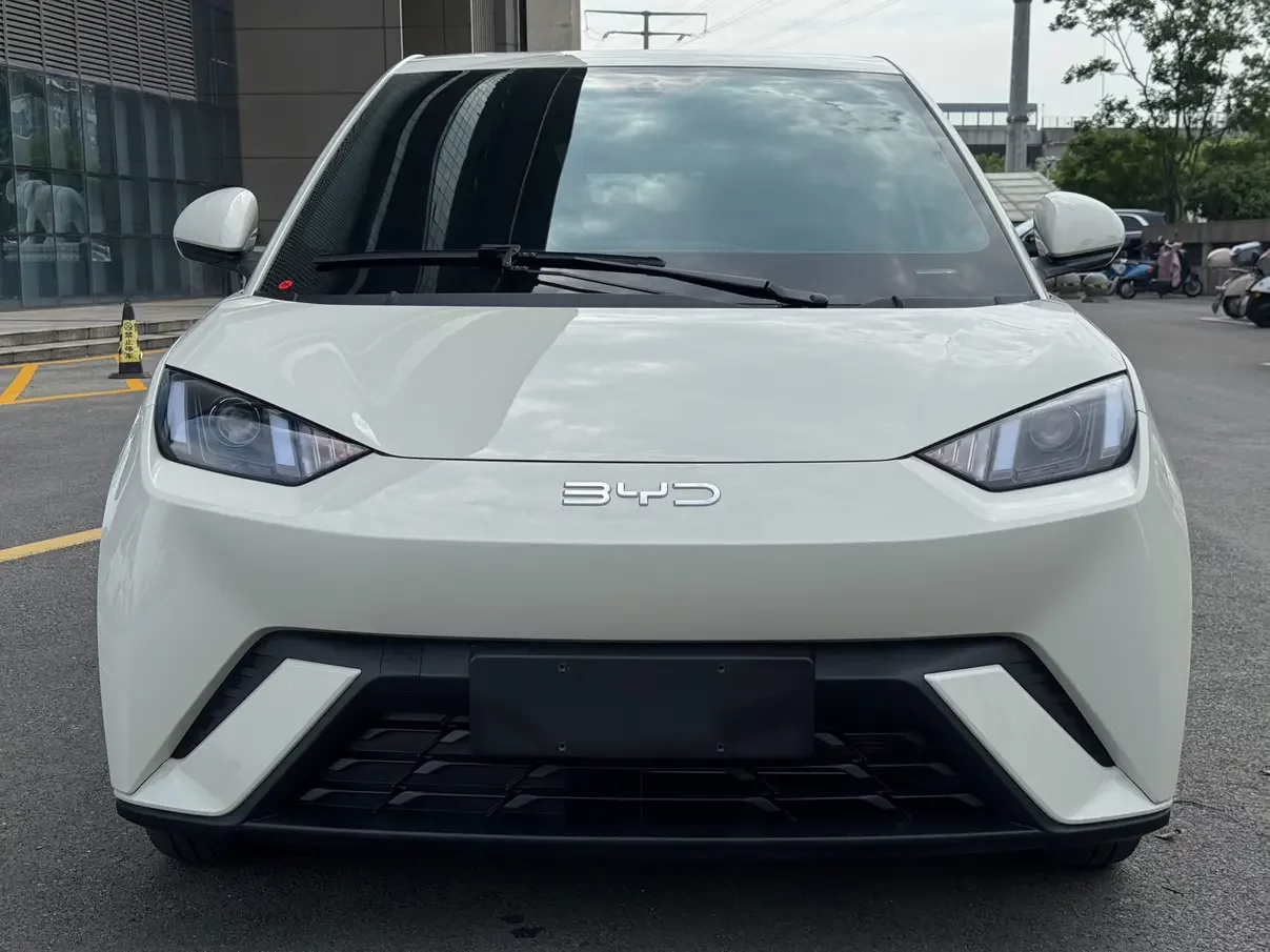 BYD seagull