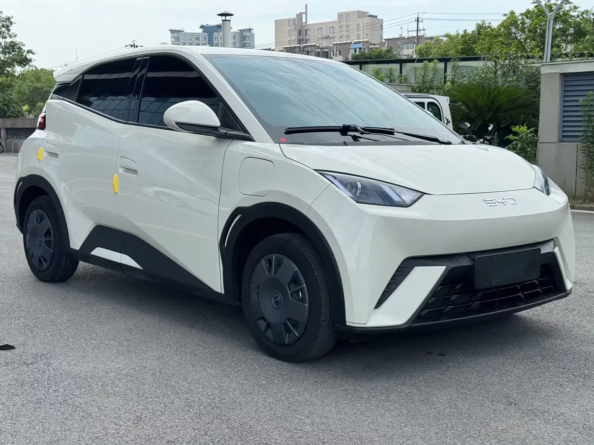 BYD seagull
