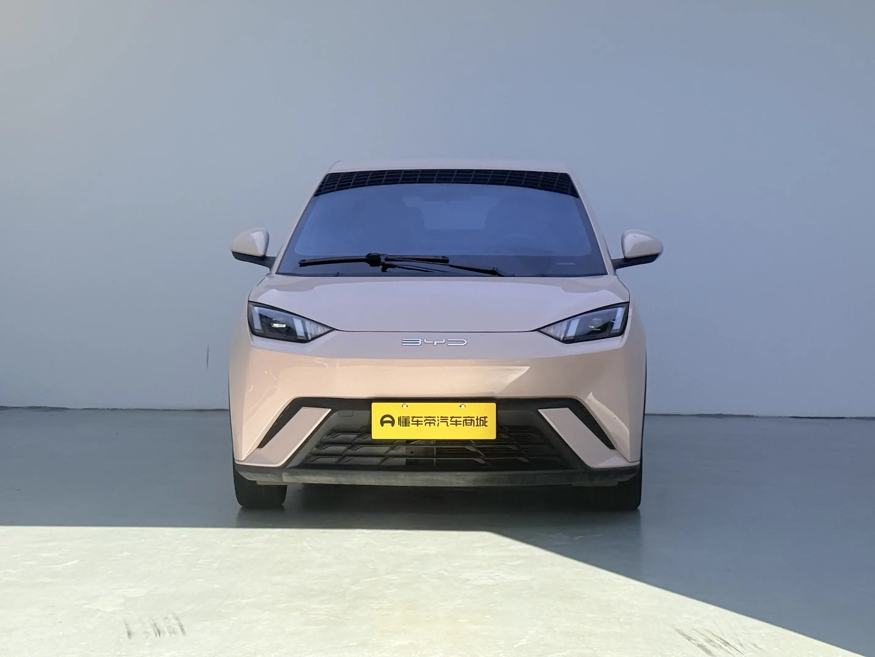 BYD seagull
