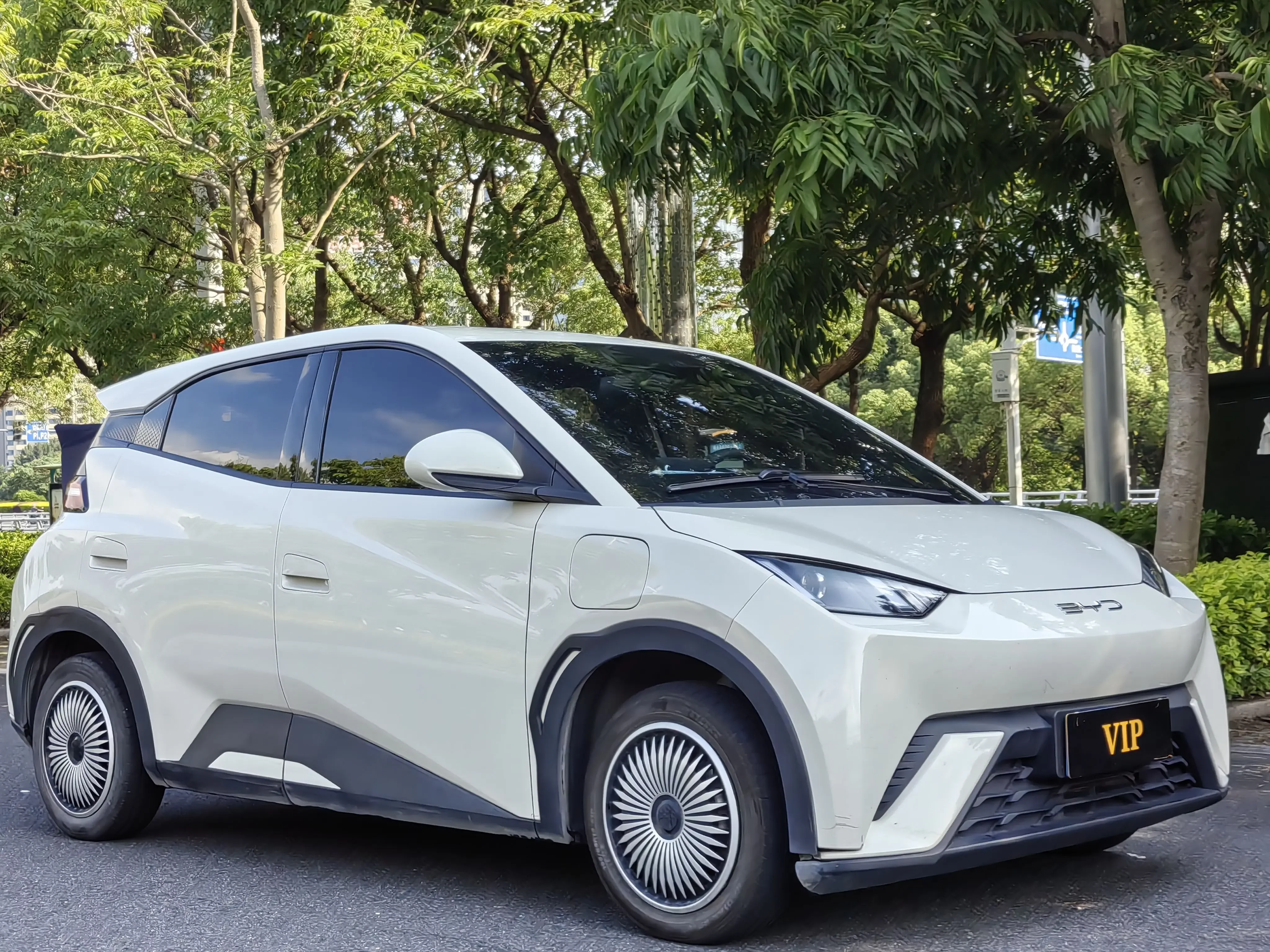 BYD seagull