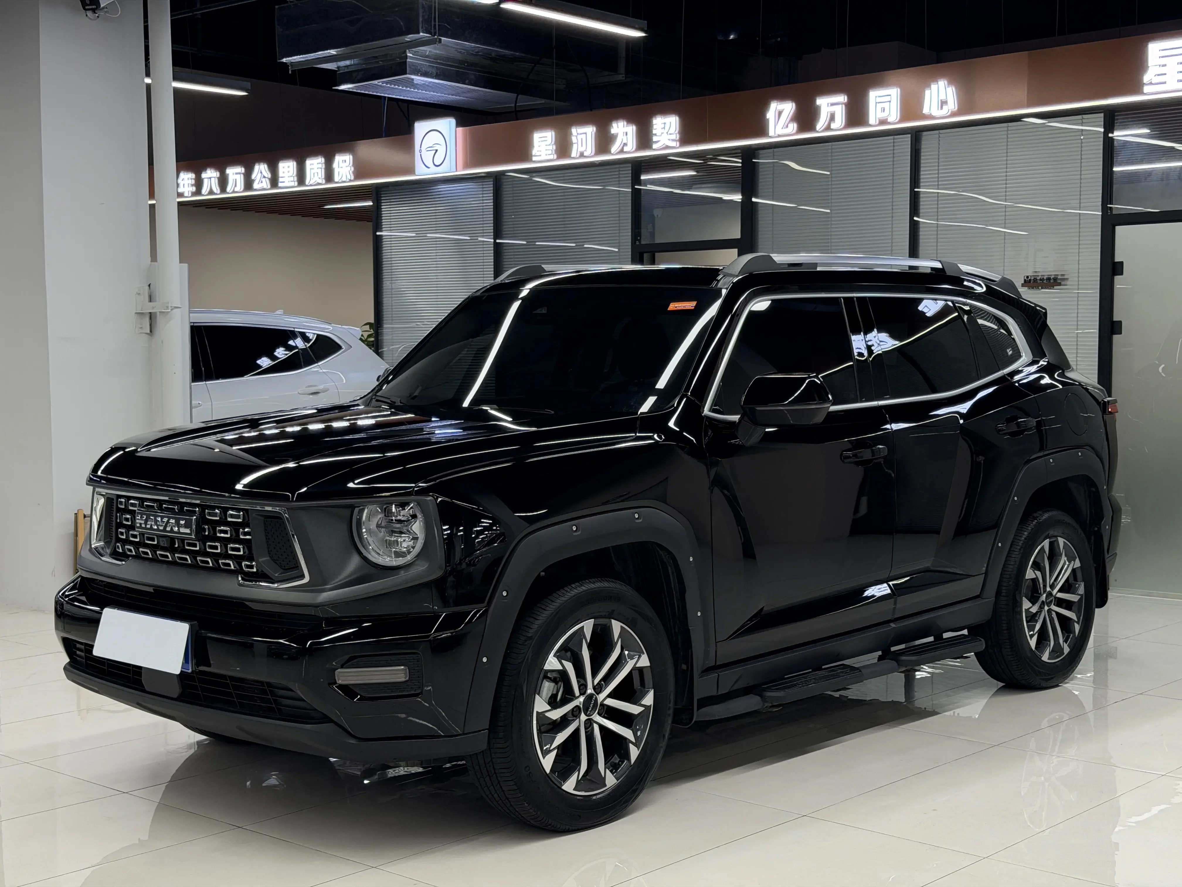 Haval H-Dog (Big Dog PLUS)