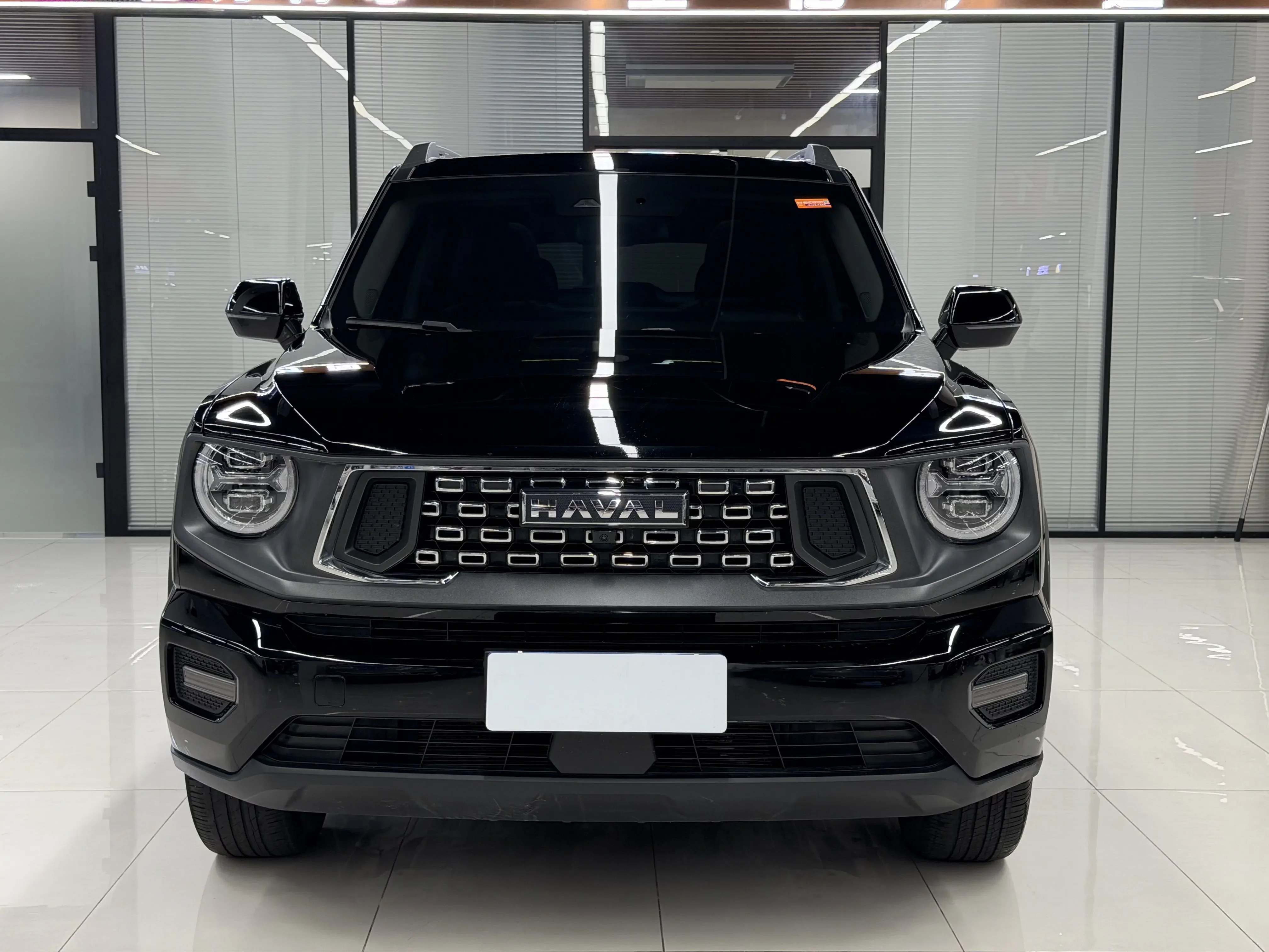 Haval H-Dog (Big Dog PLUS)