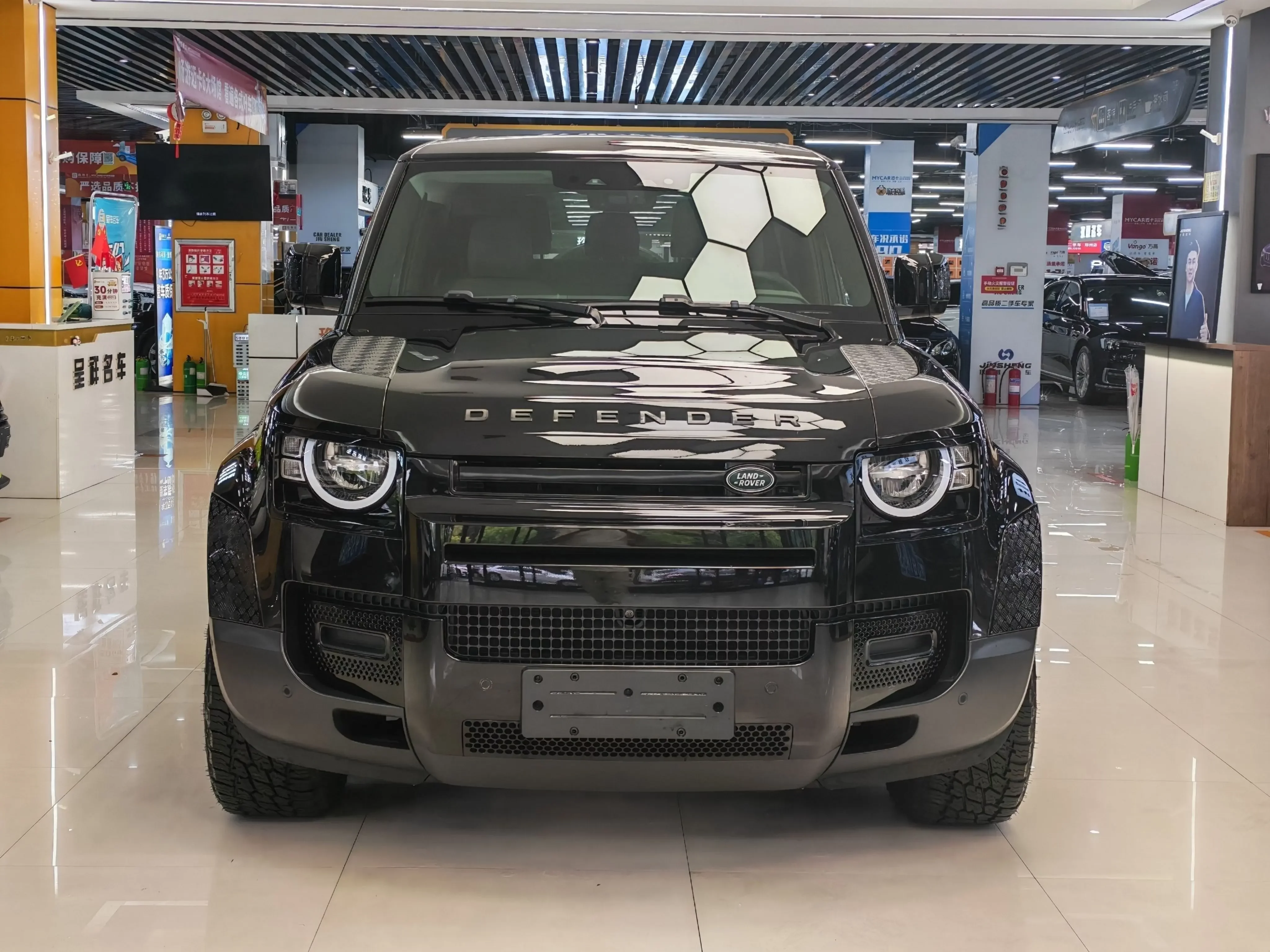 Land Rover guard