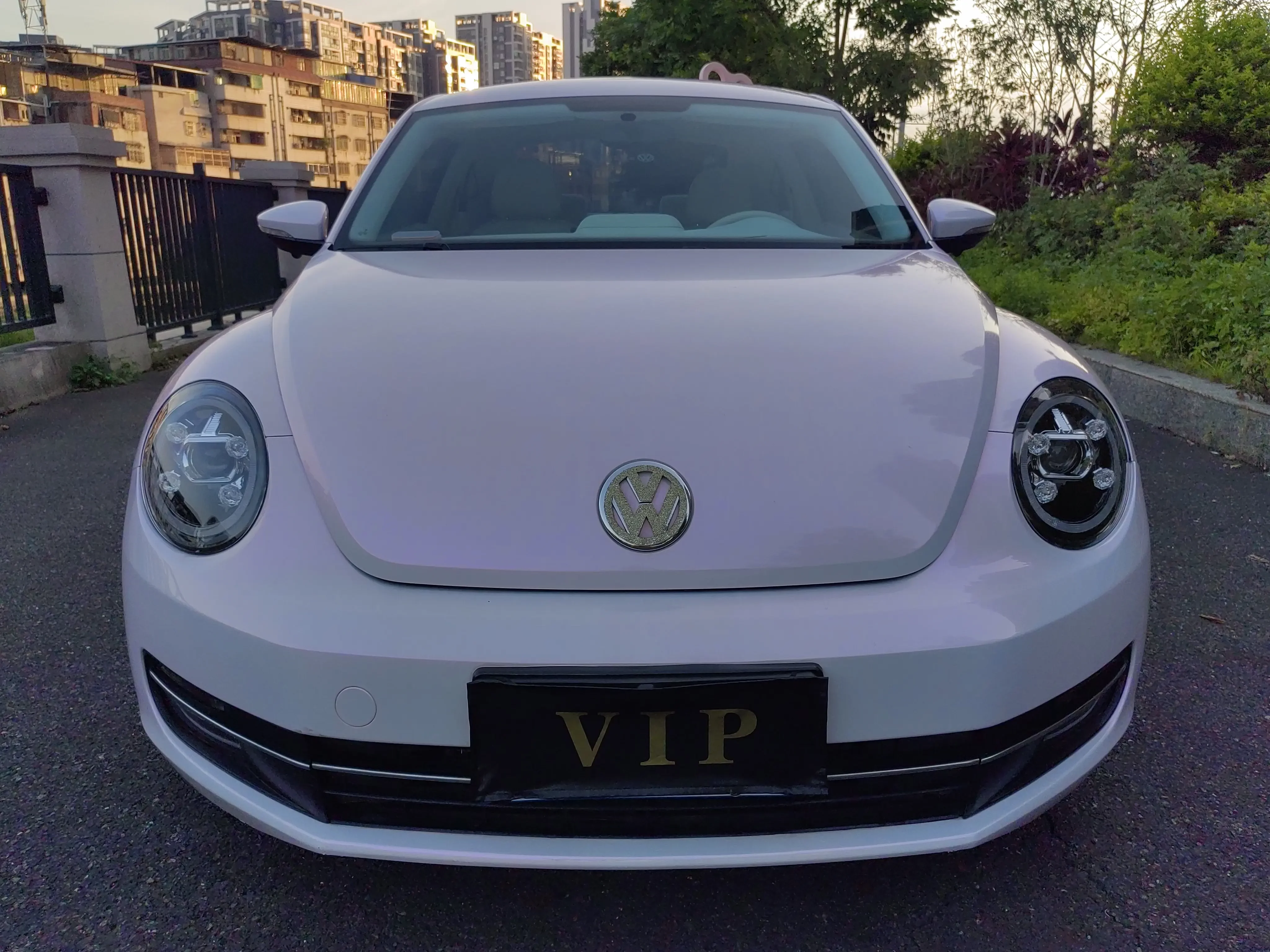 Volkswagen Beetle