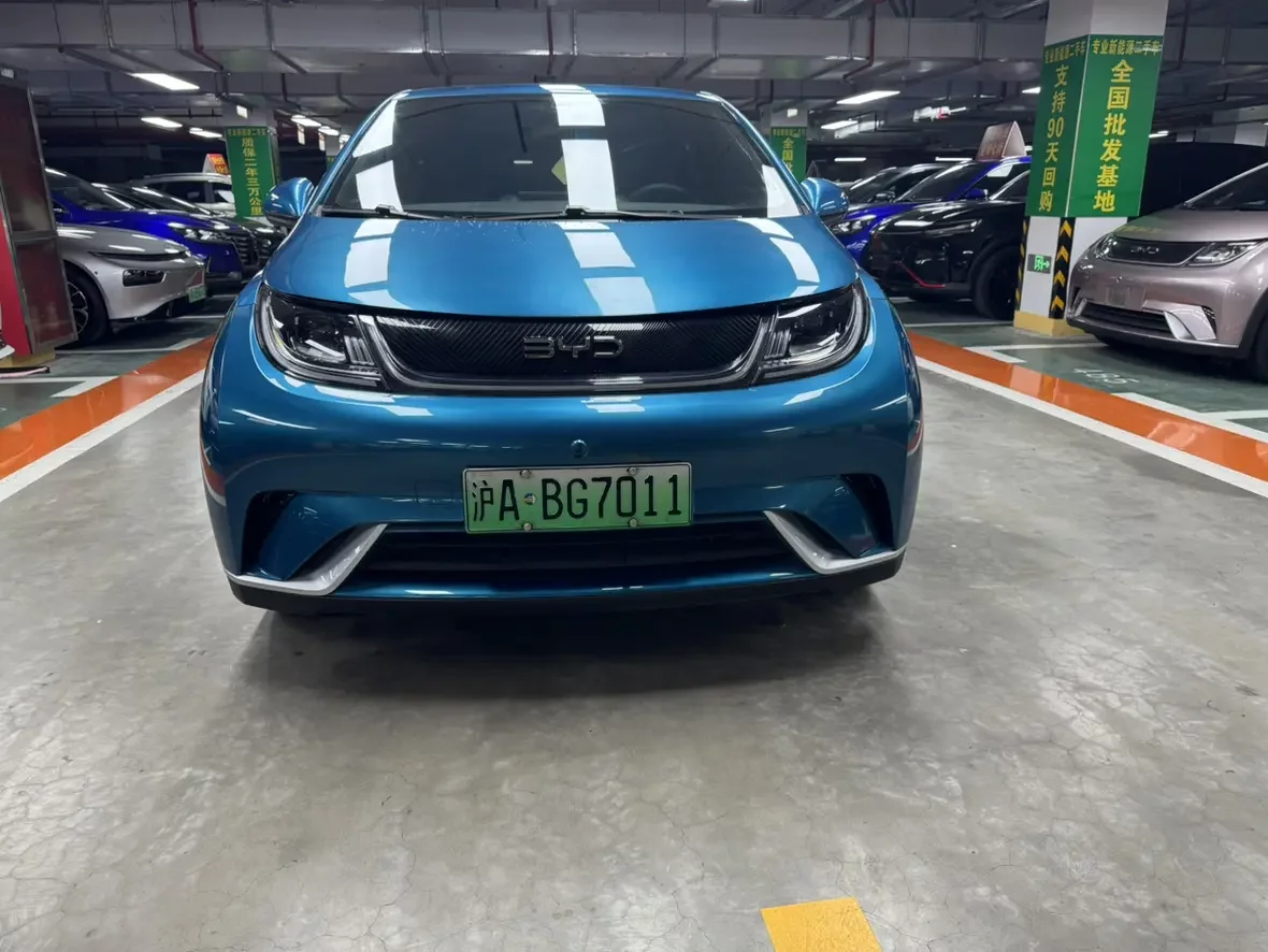 BYD dolphin