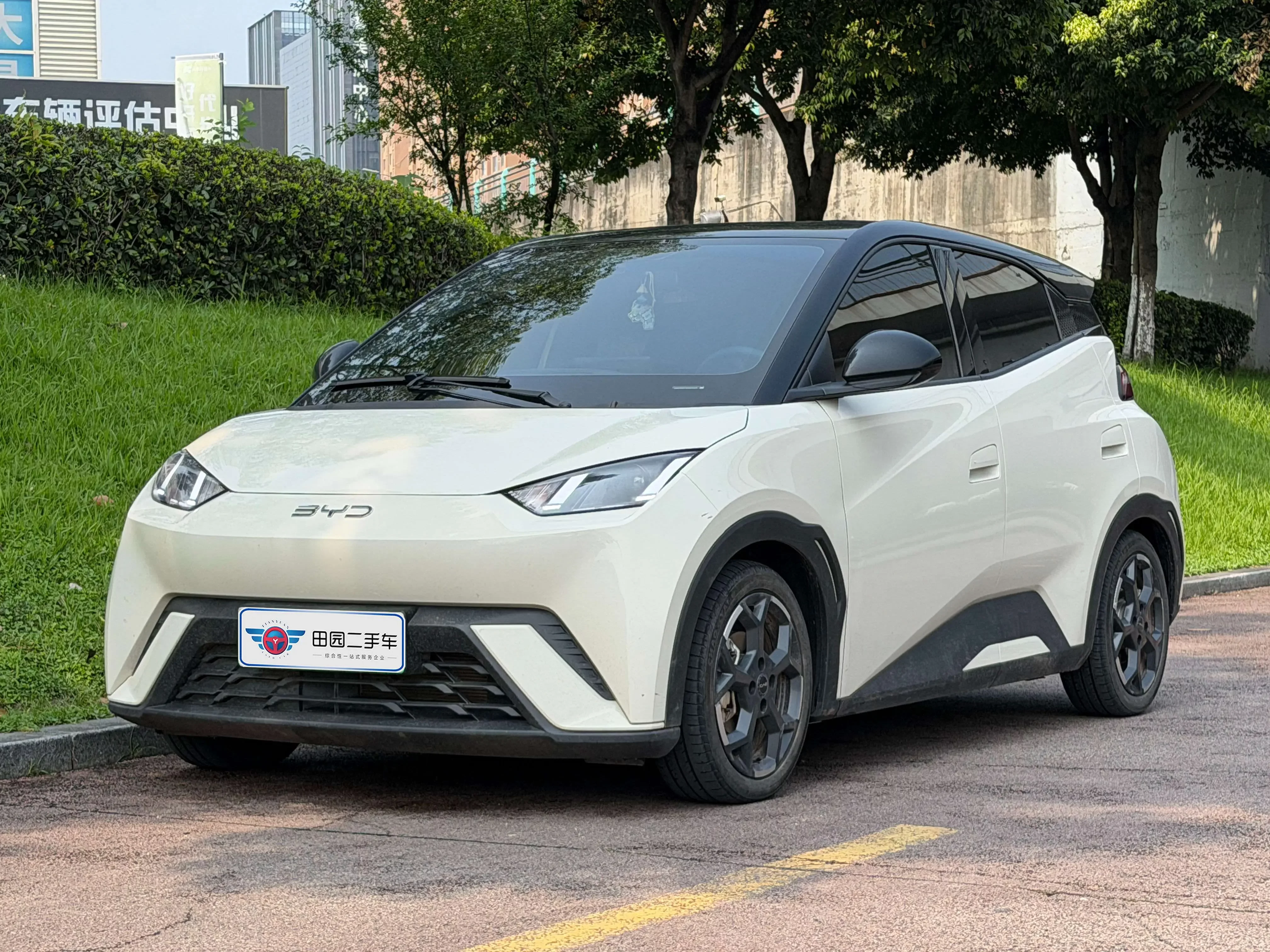 BYD seagull