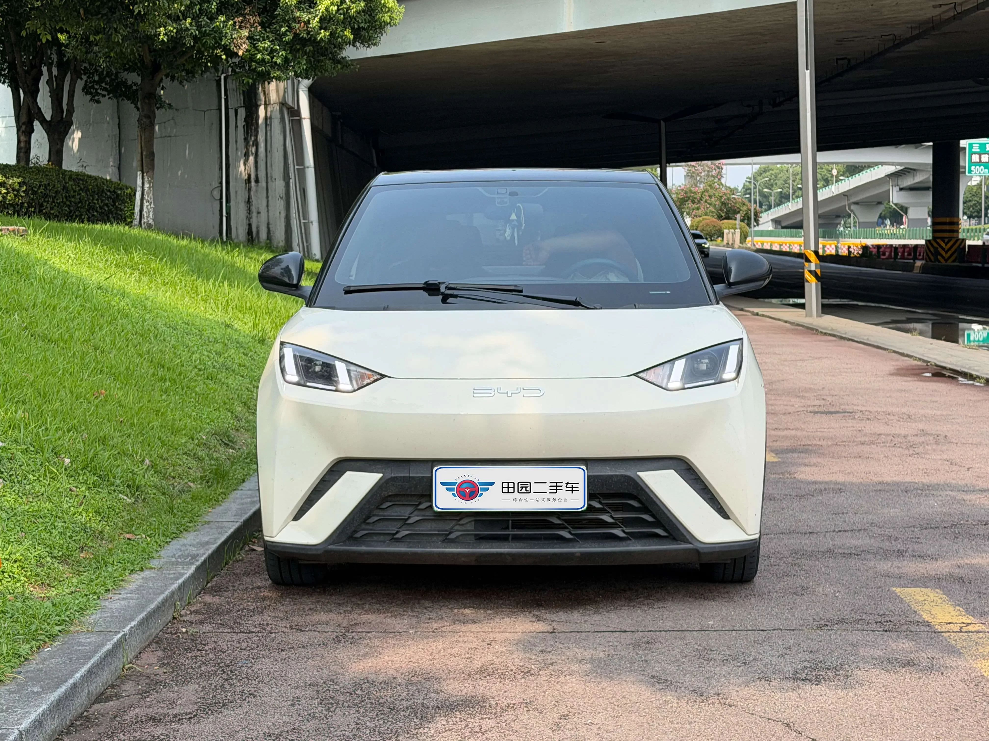 BYD seagull