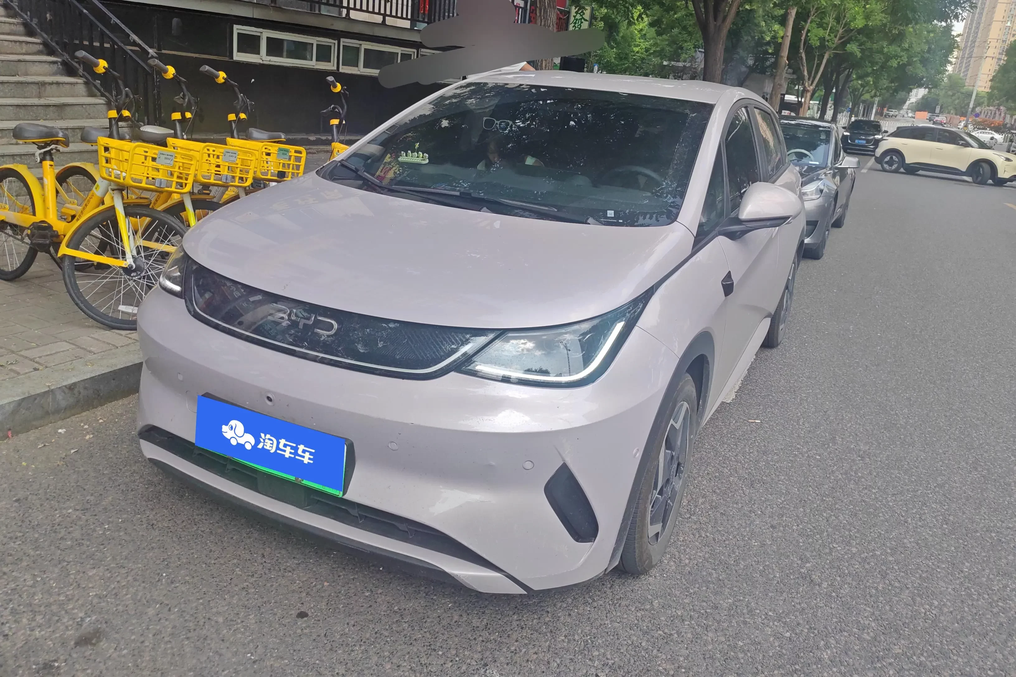BYD dolphin