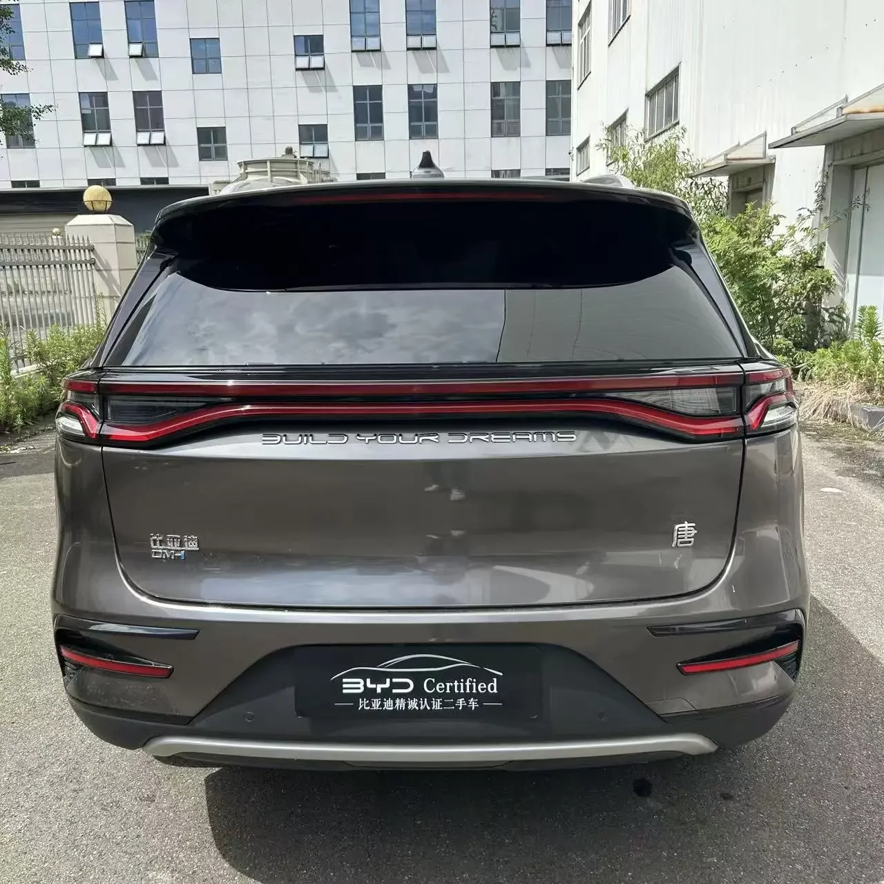 BYD Tang DM