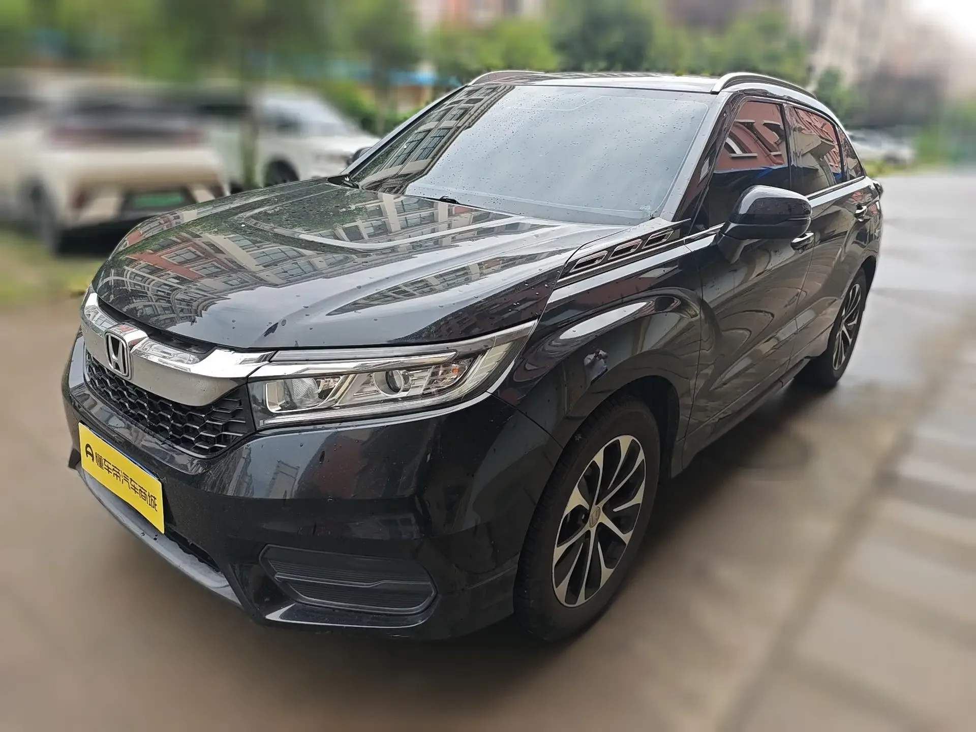 Honda Avancier (Crown Road)