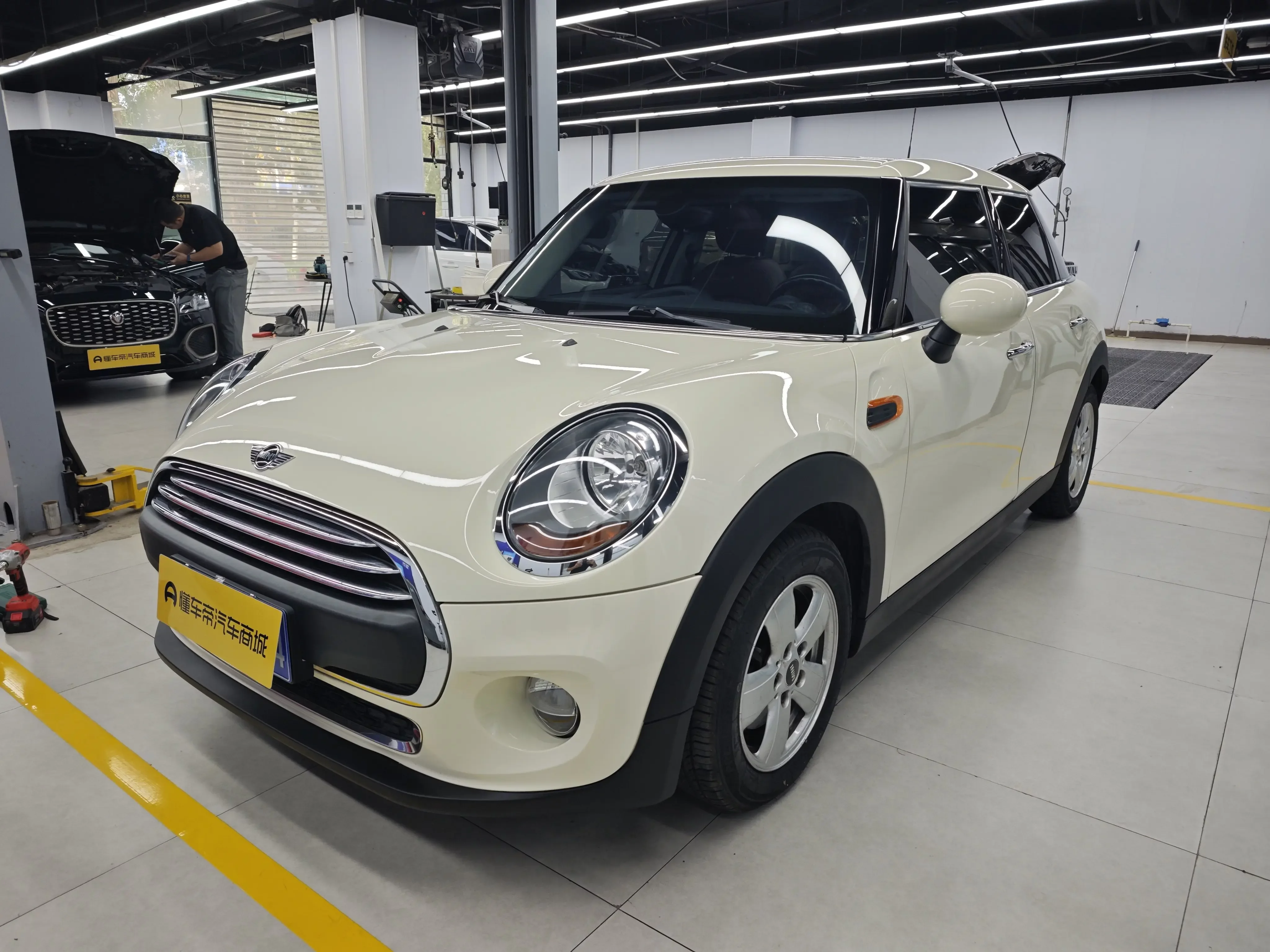 MINI 