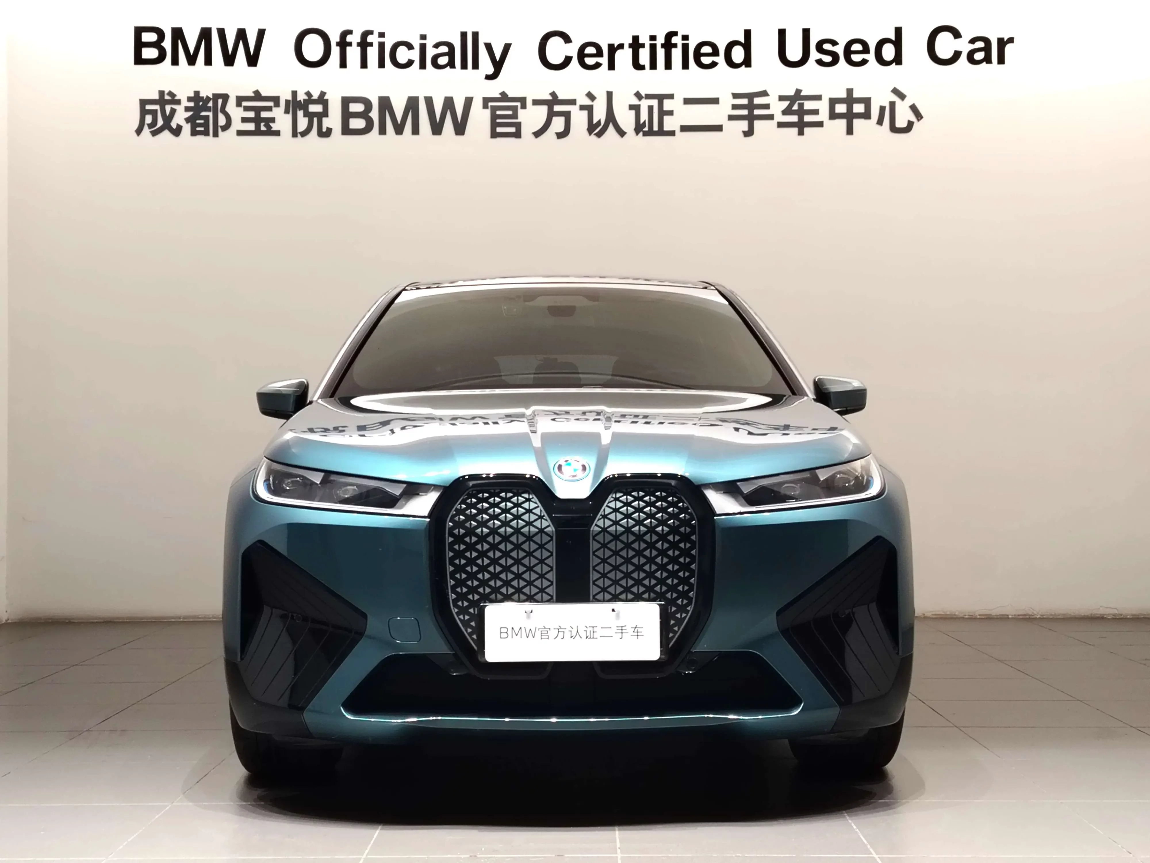 BMW iX