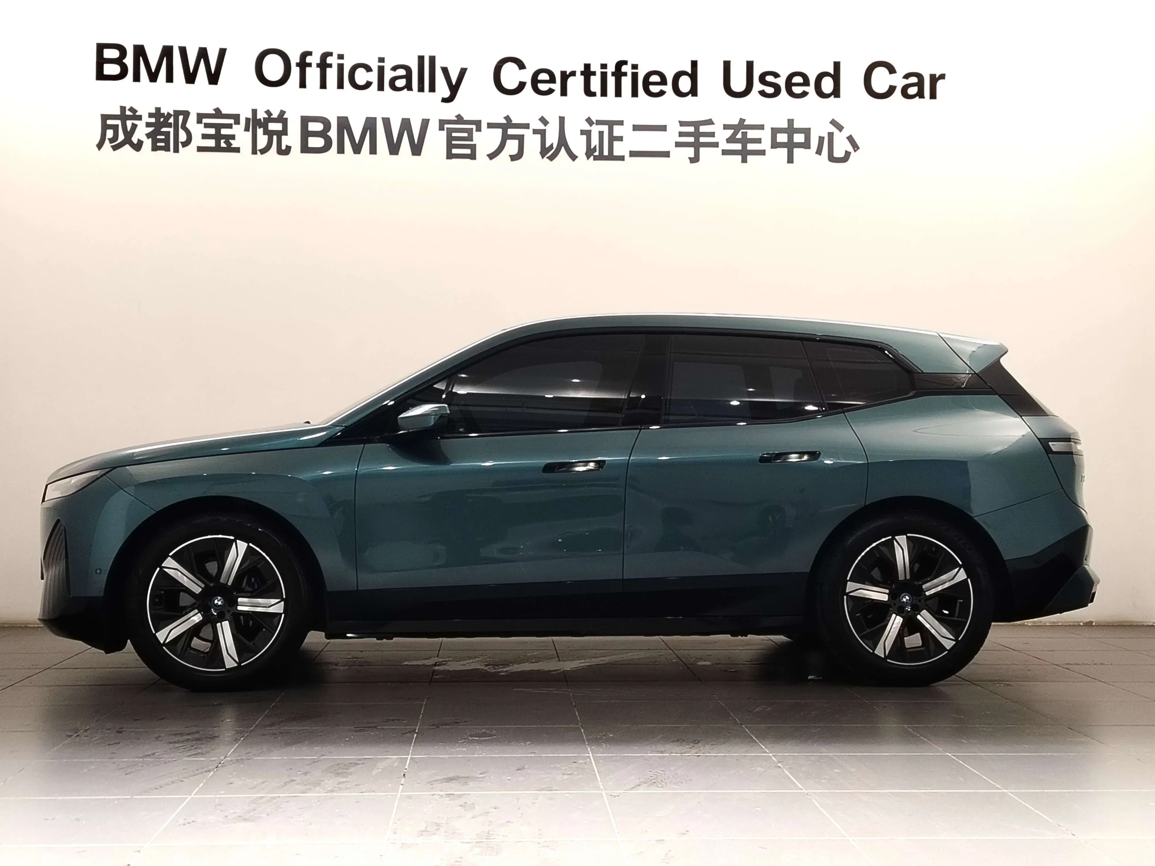 BMW iX