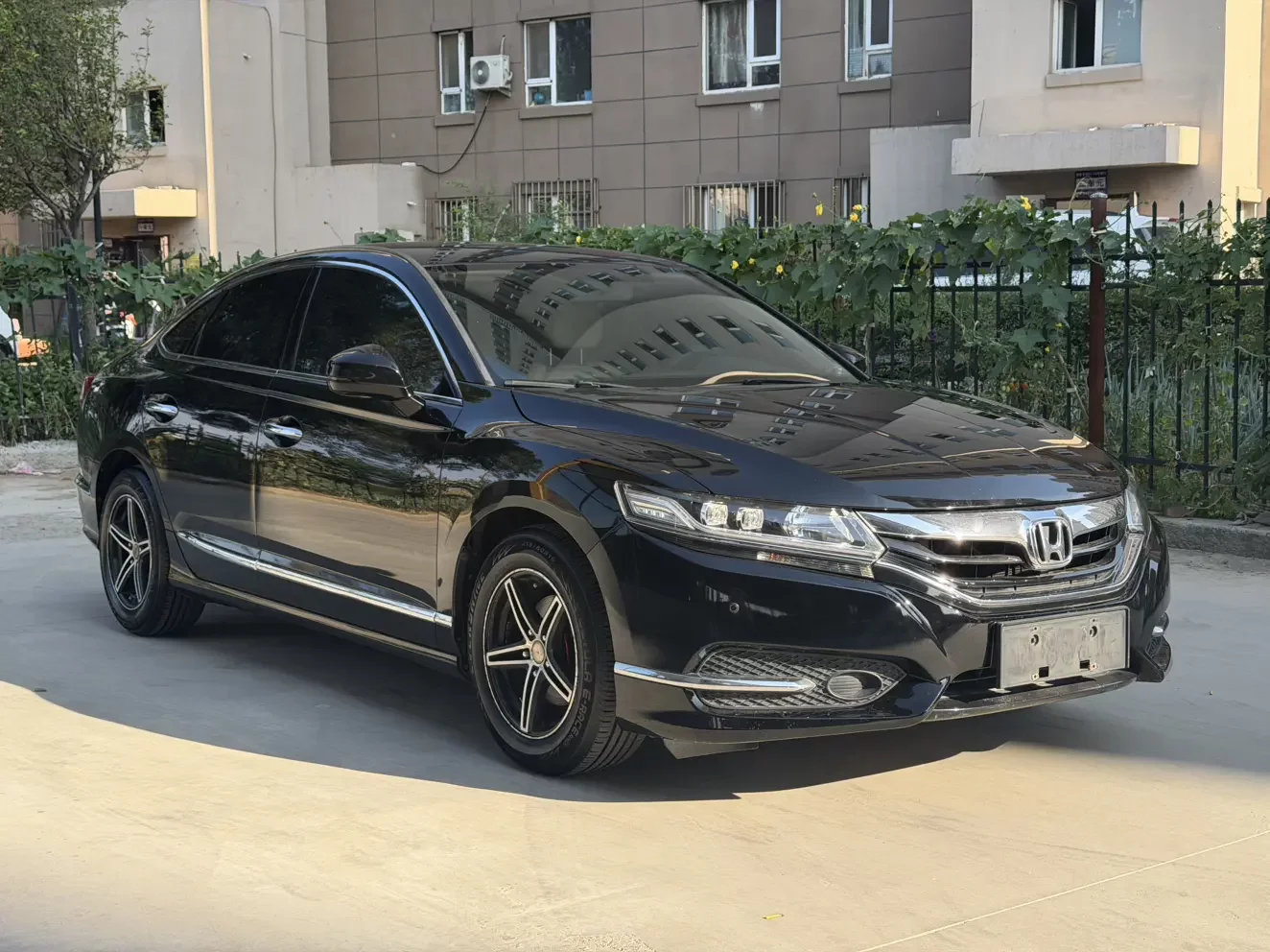 Honda Sibo Rui