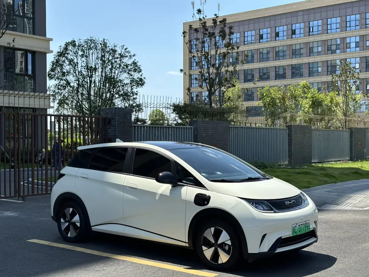 BYD dolphin