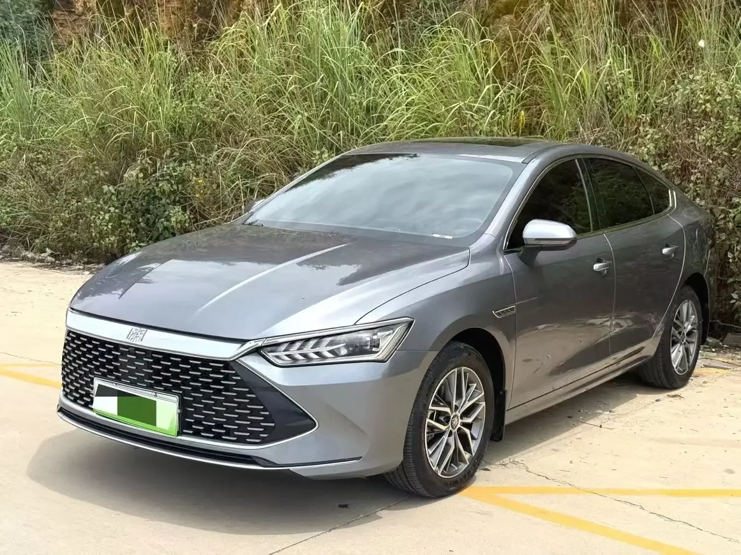 BYD Qin PLUS DM