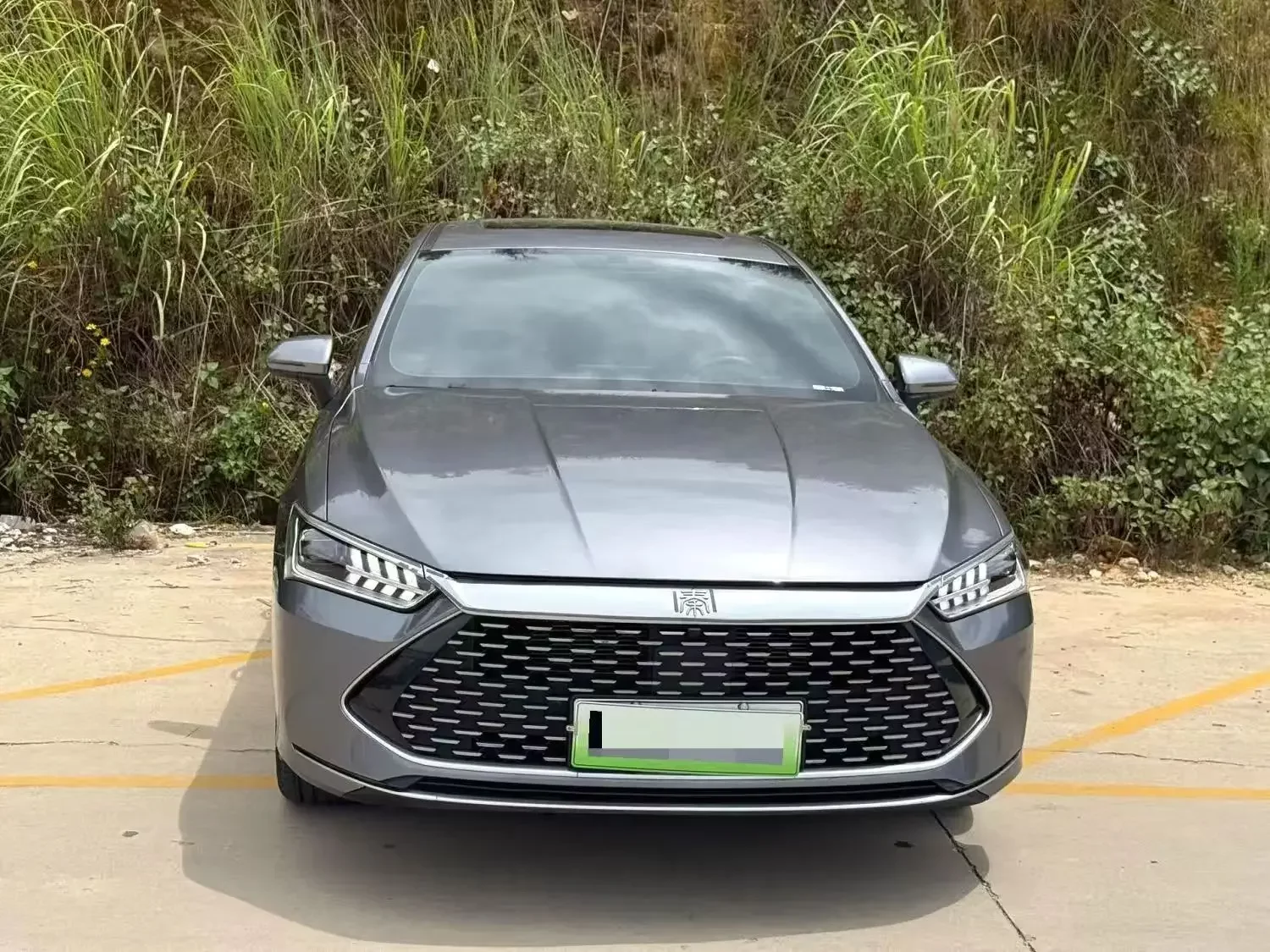 BYD Qin PLUS DM