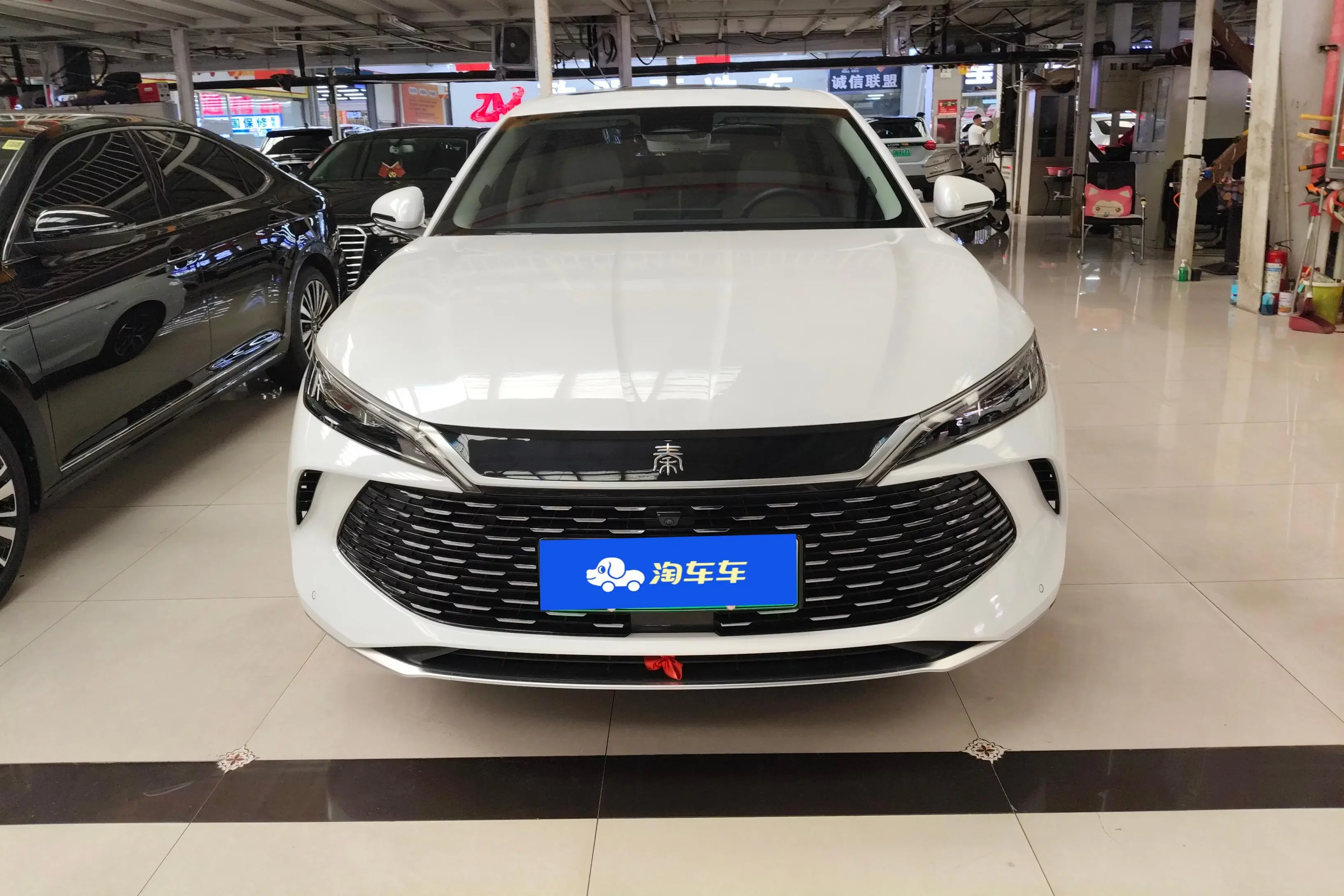 BYD Qin L DM