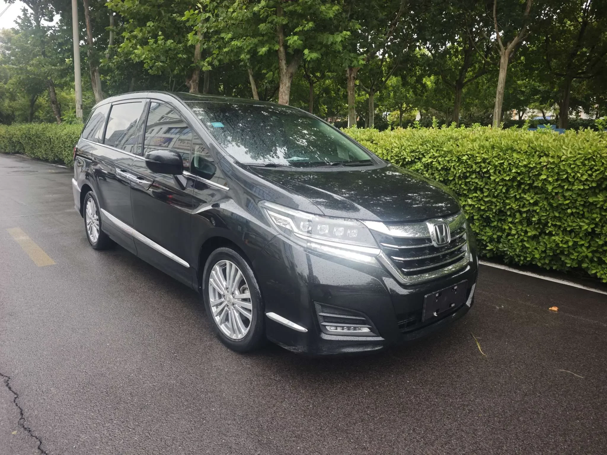 Honda Elysion (Alison)