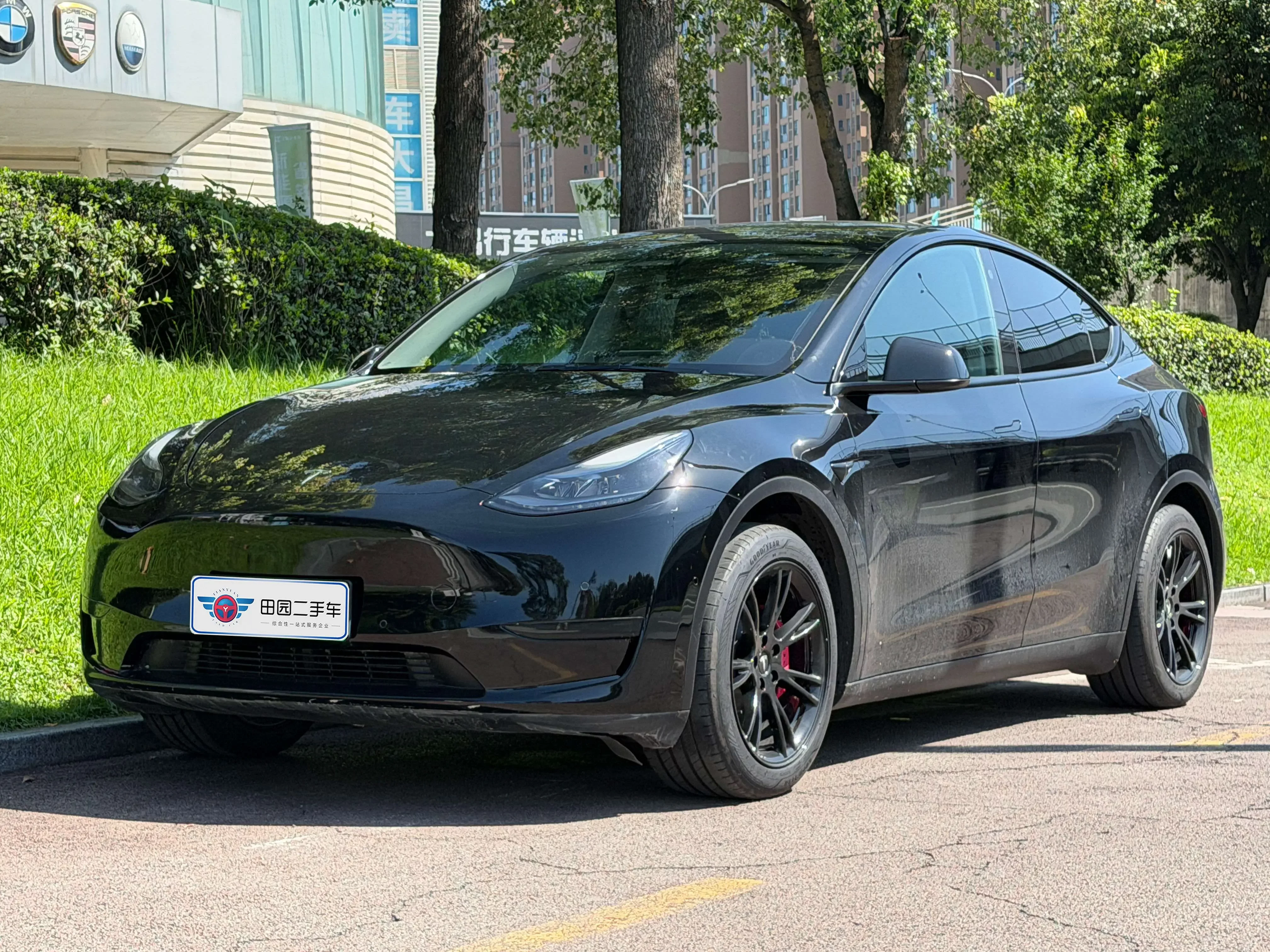 Tesla Model Y