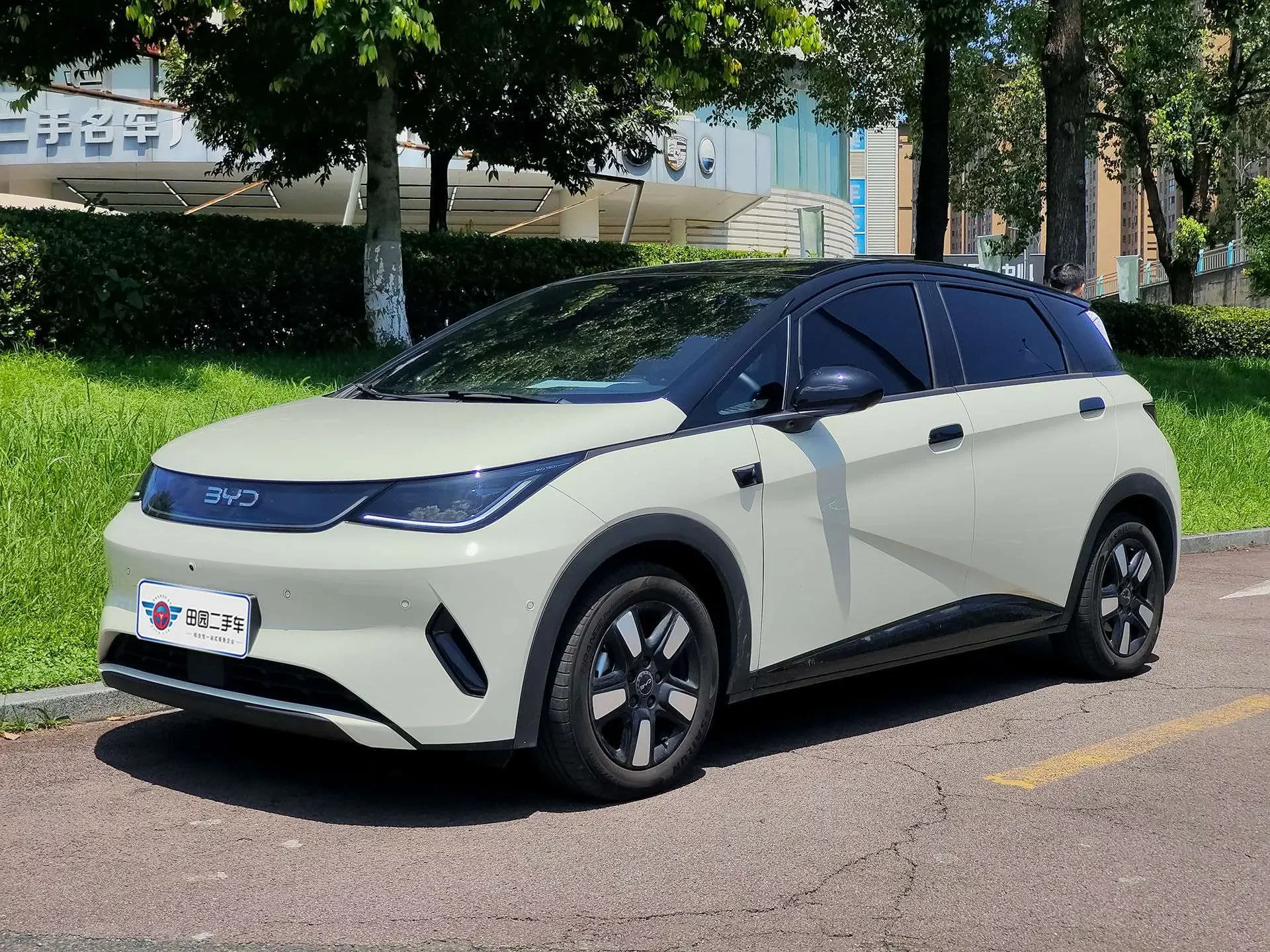BYD dolphin
