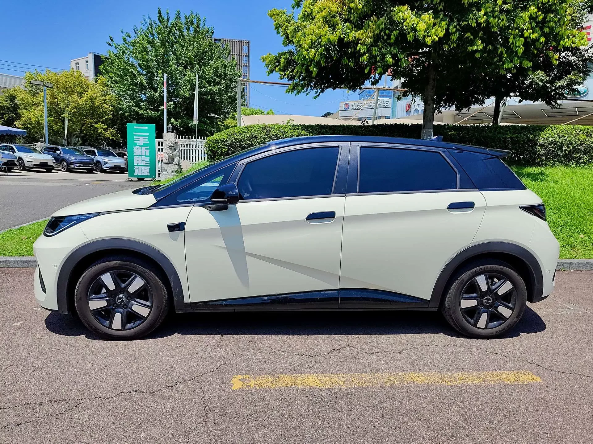 BYD dolphin