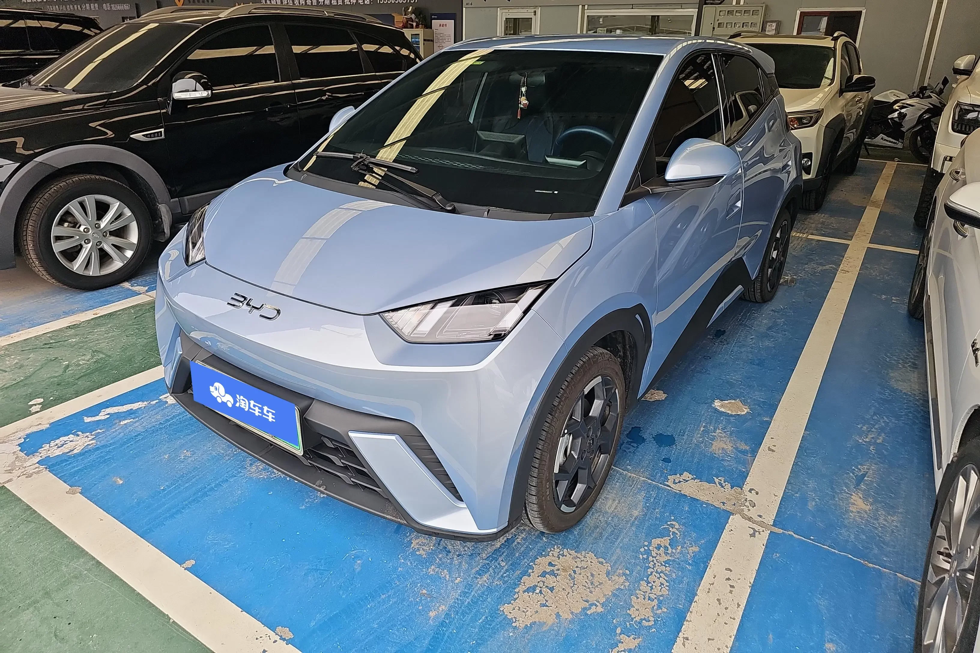 BYD seagull