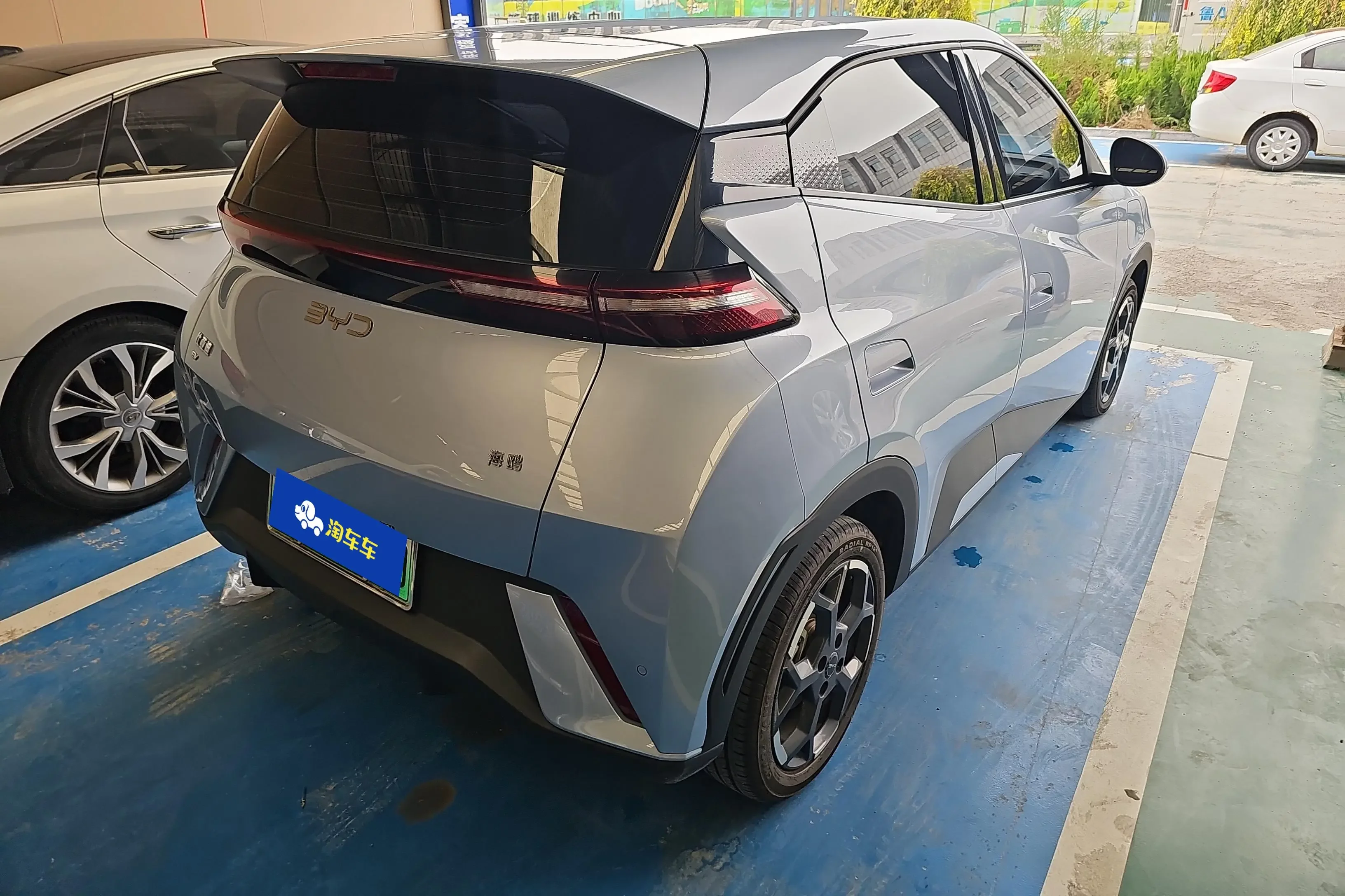 BYD seagull