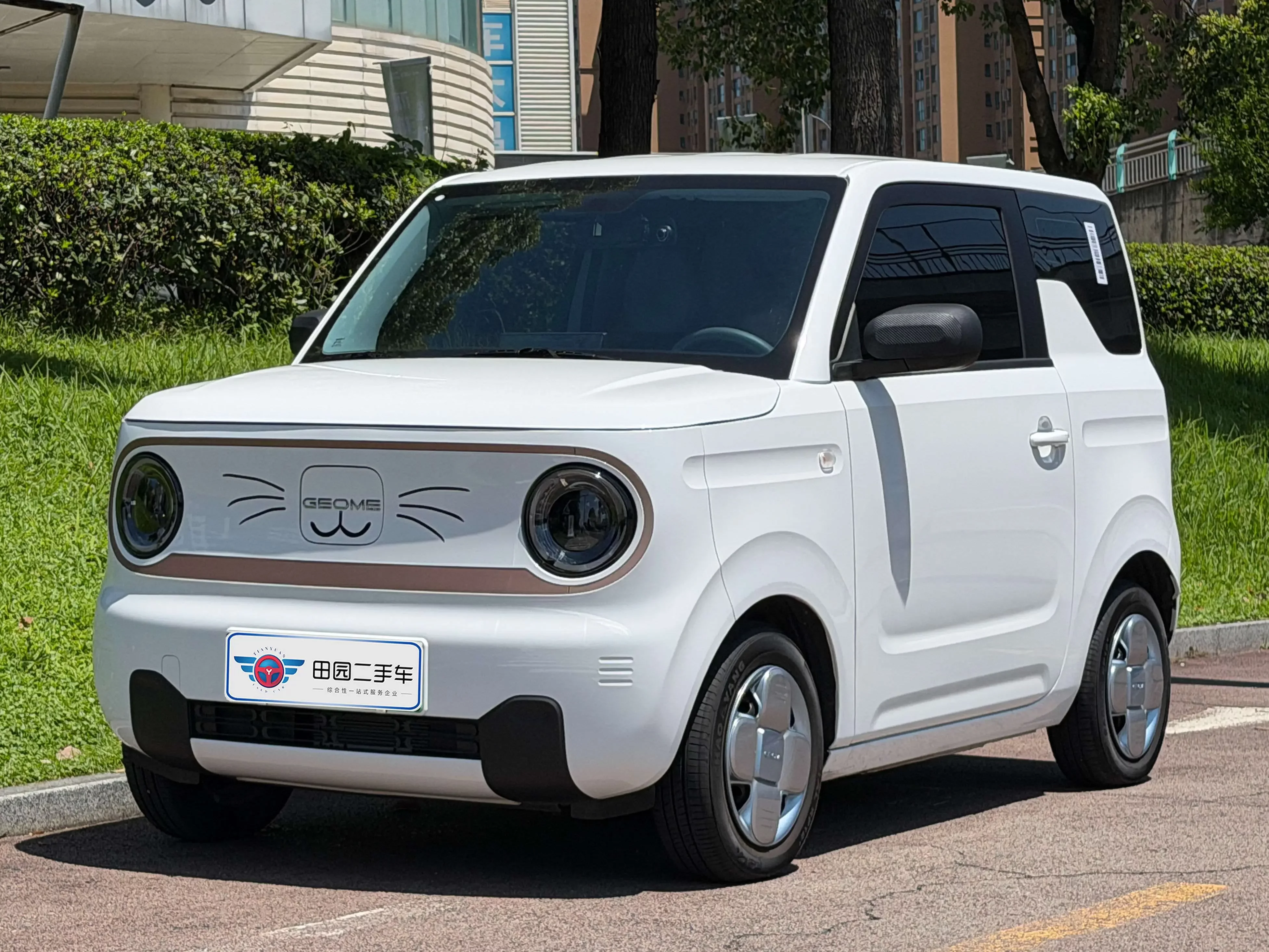 Geely panda
