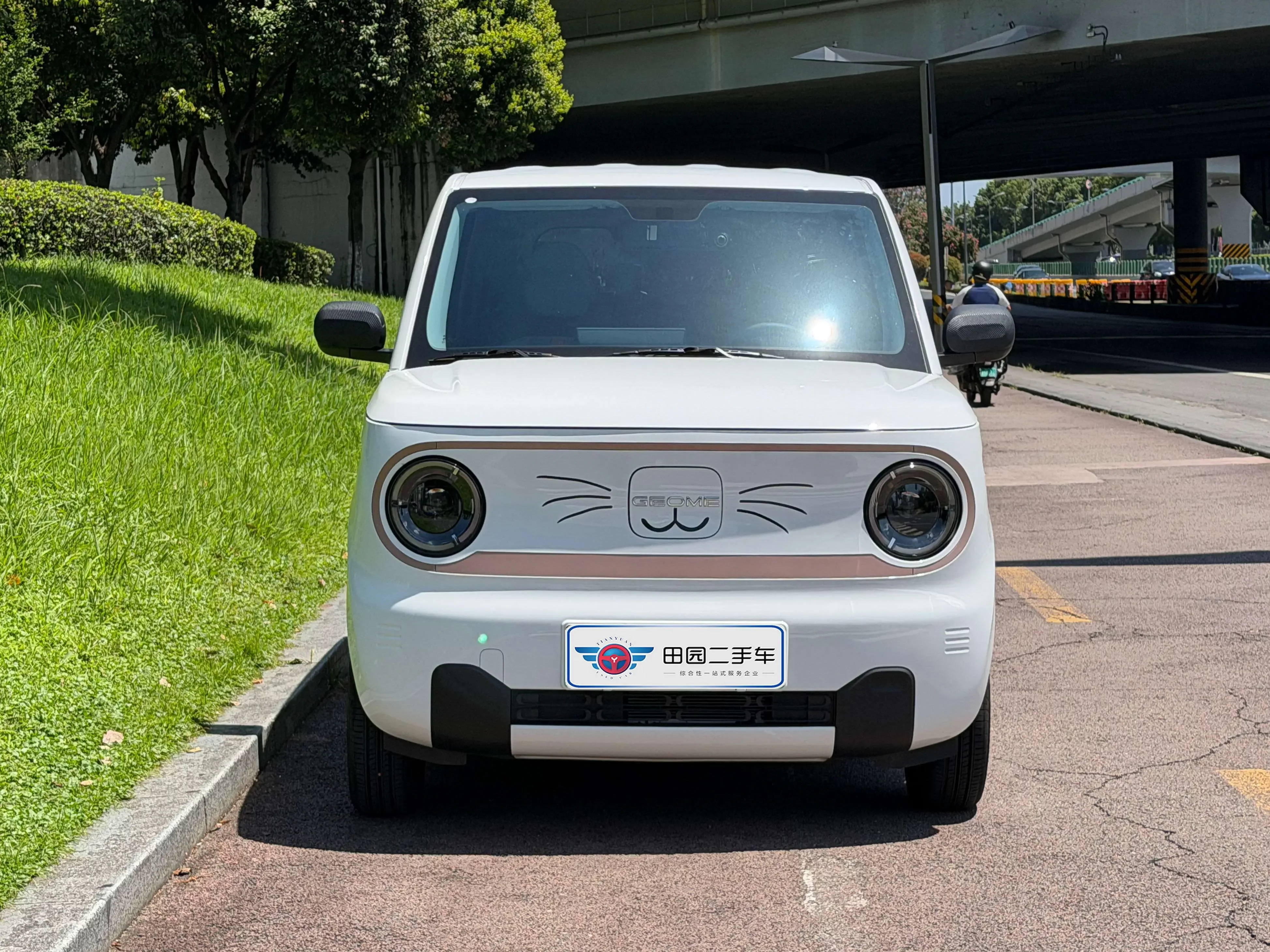 Geely panda