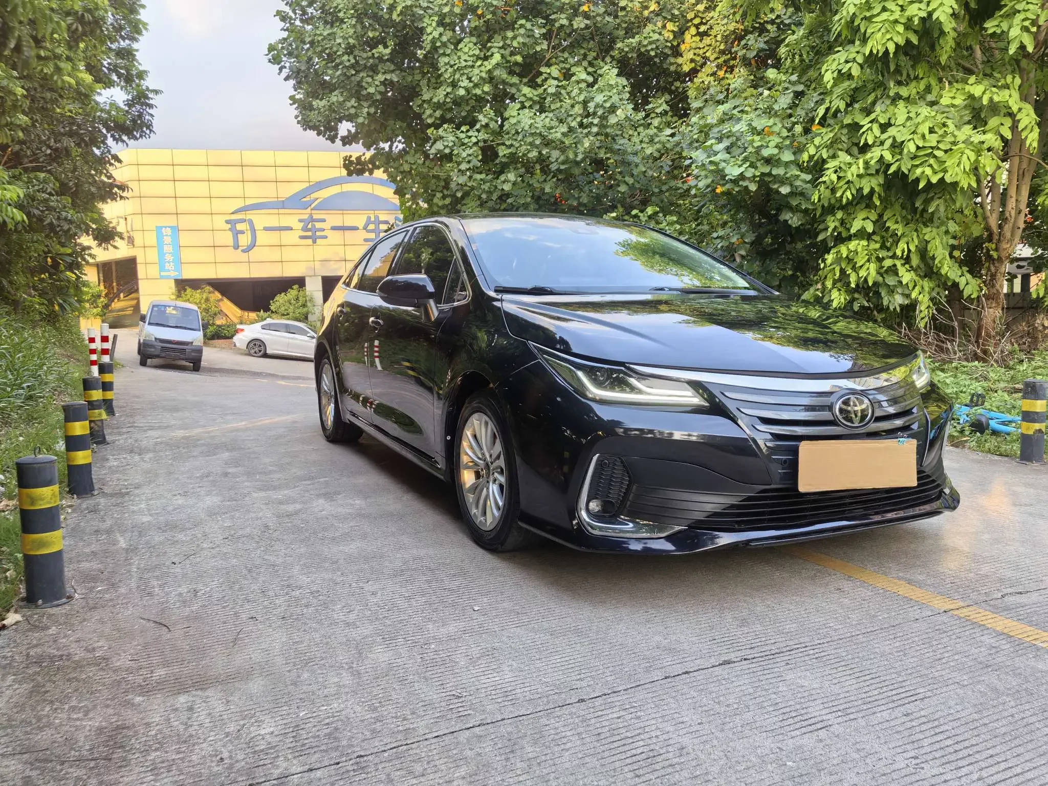 Toyota Asiatic lion