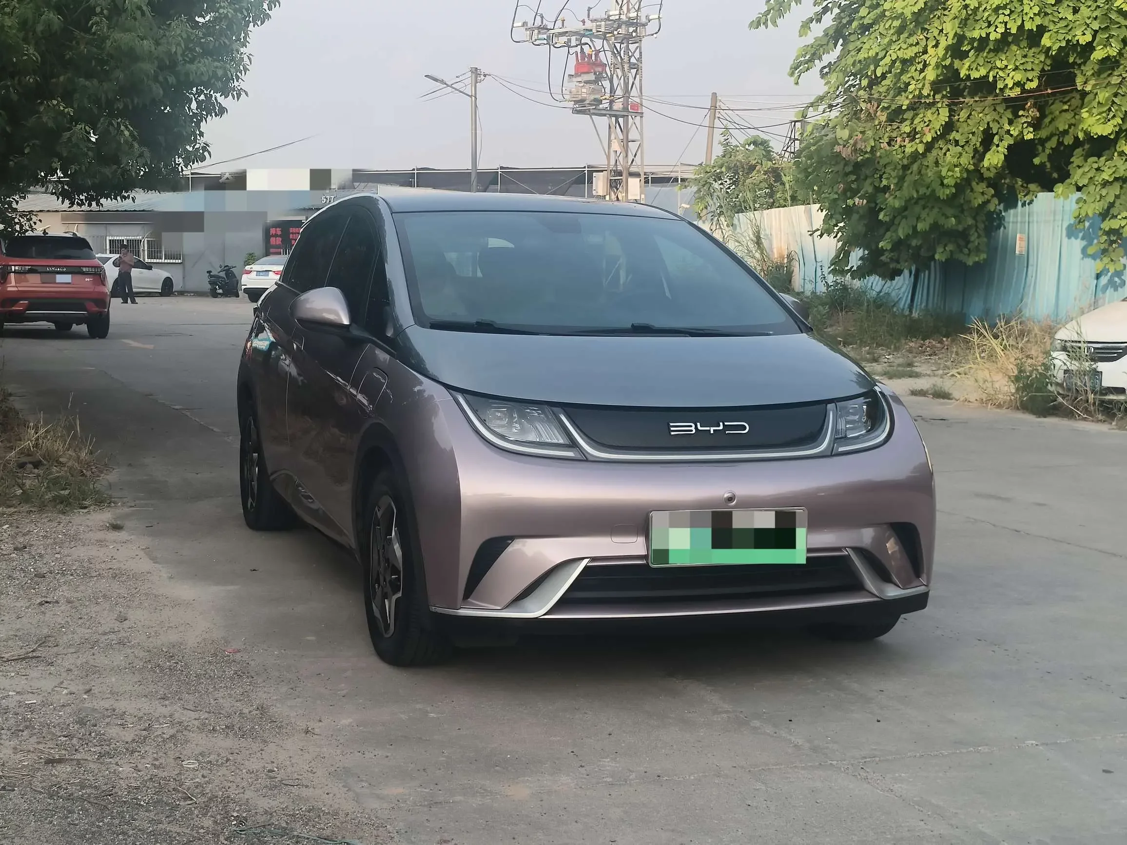 BYD dolphin
