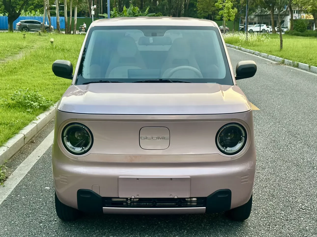 Geely panda