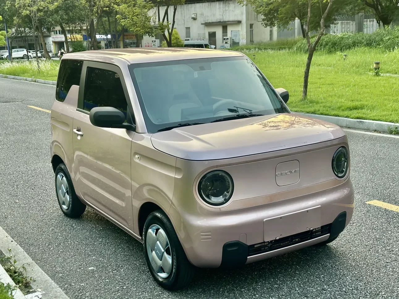Geely panda