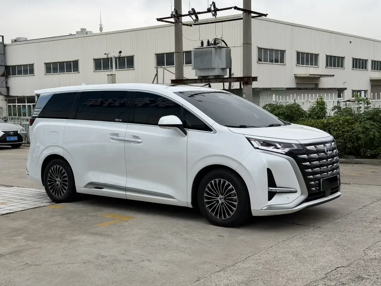 Denza D9 DM