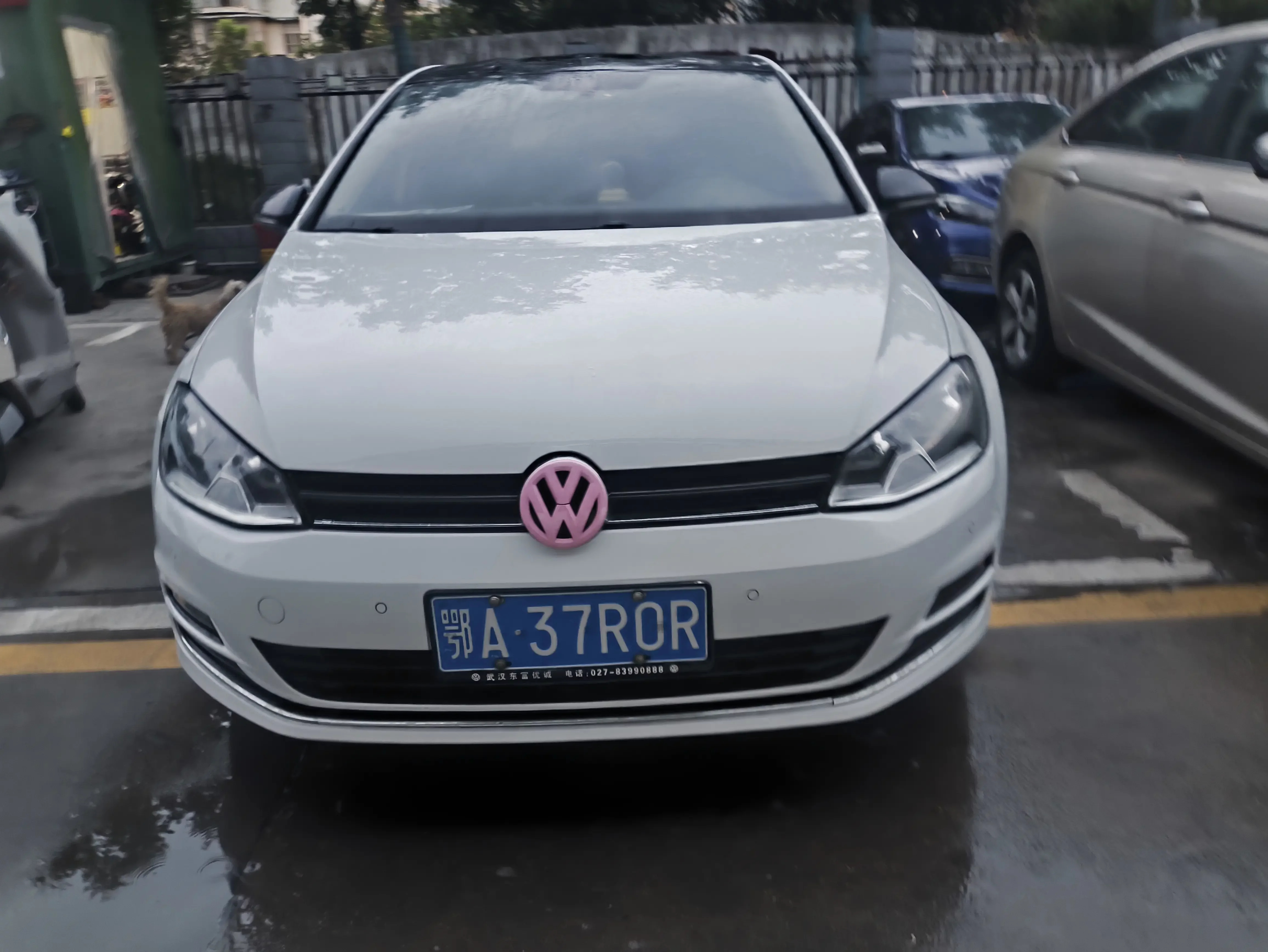 Volkswagen golf