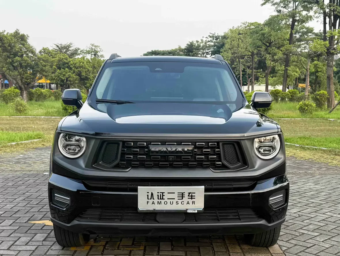 Haval H-Dog (Big Dog PLUS)