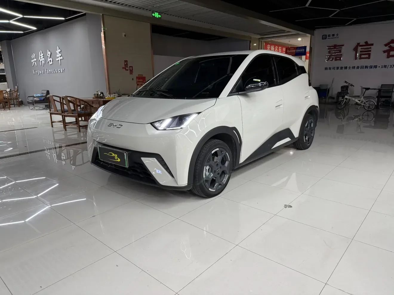 BYD seagull