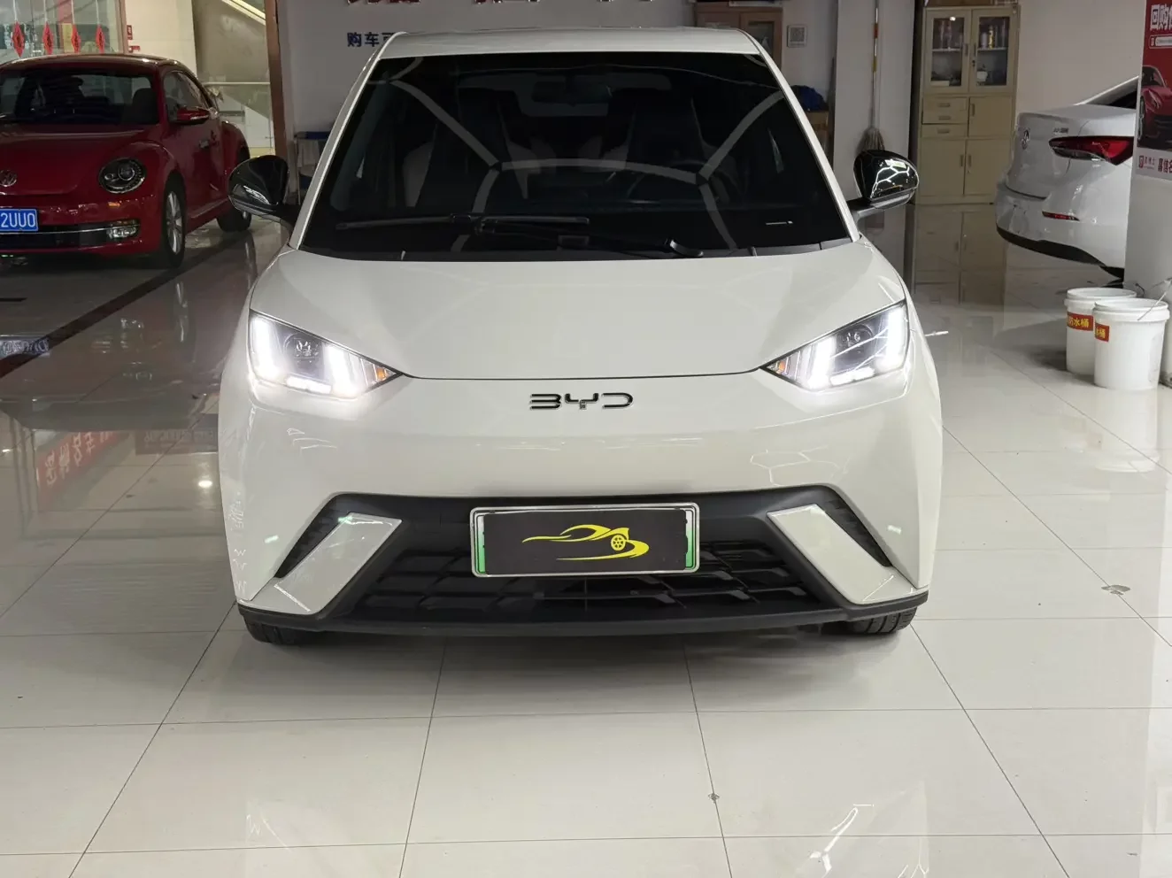 BYD seagull