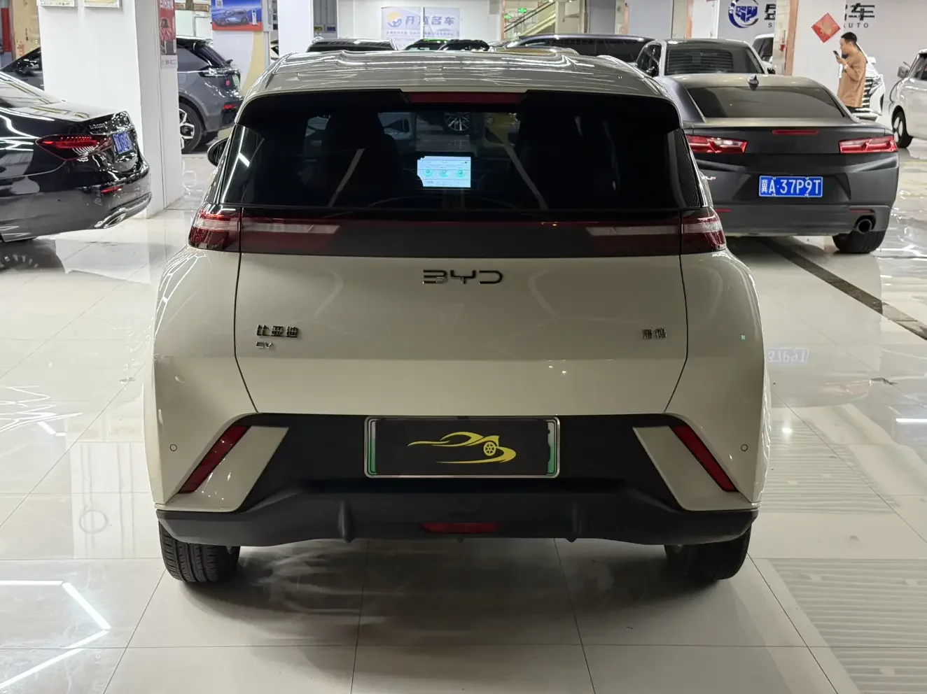 BYD seagull
