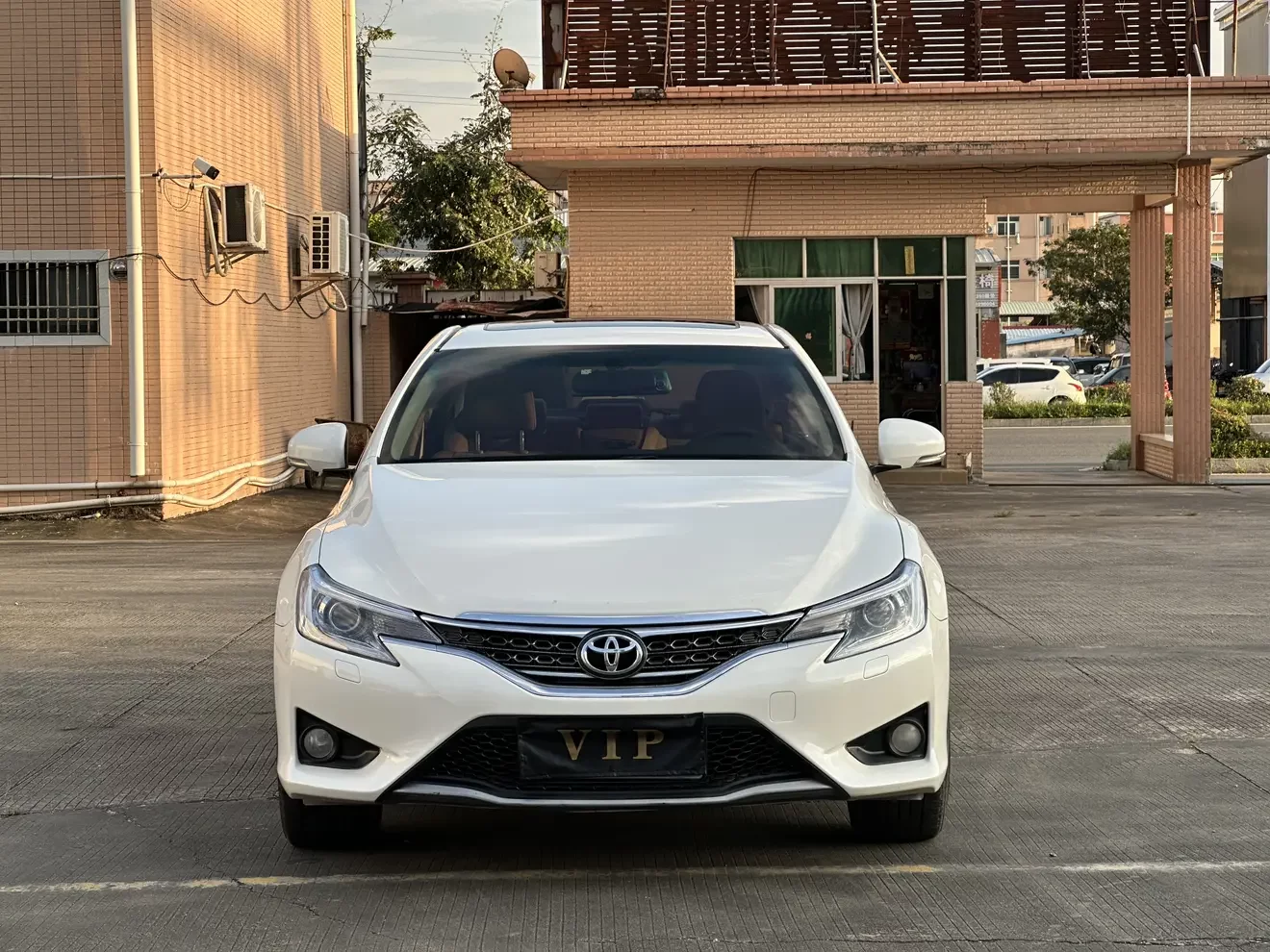 Toyota Ruizhi