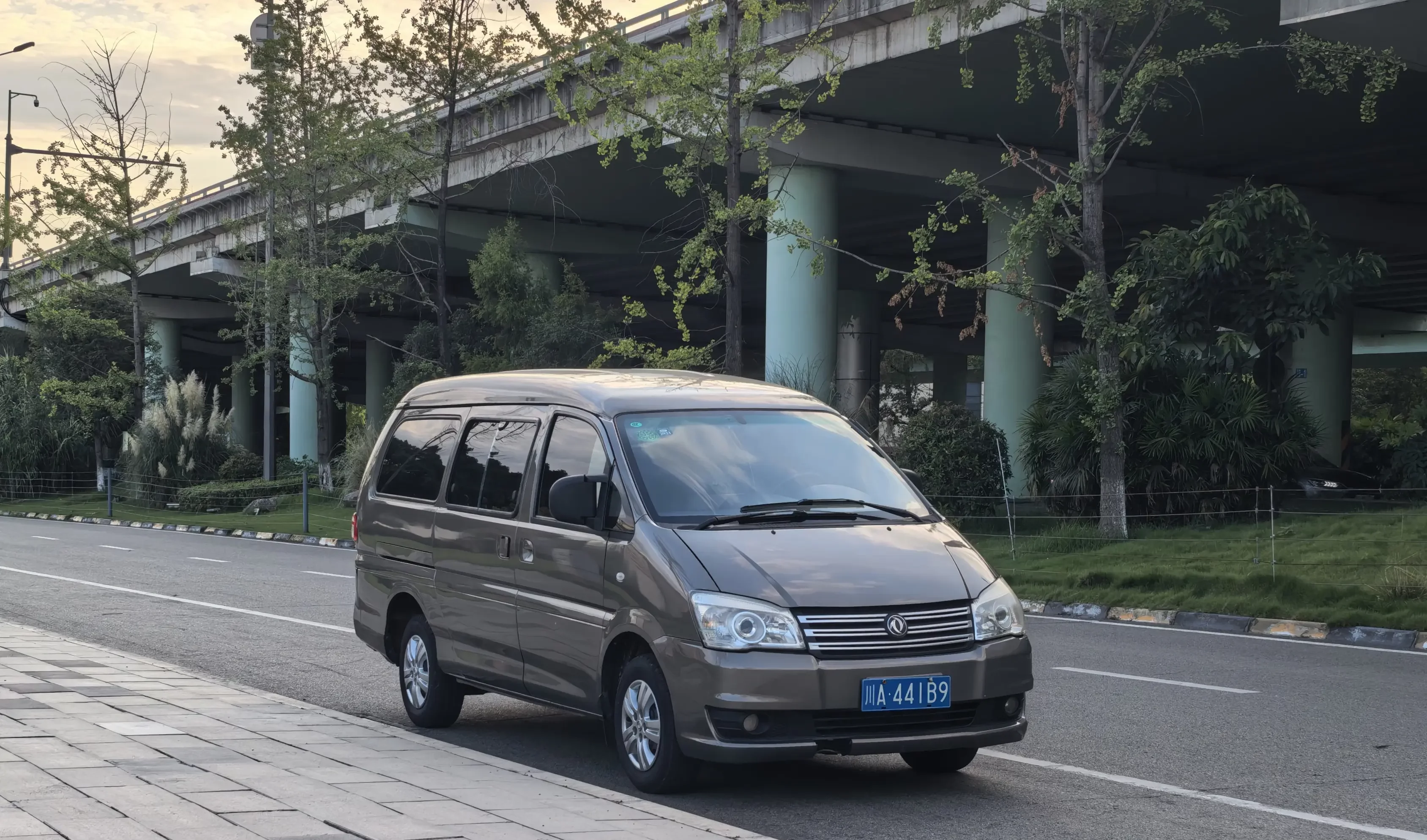 Forthing Lingzhi