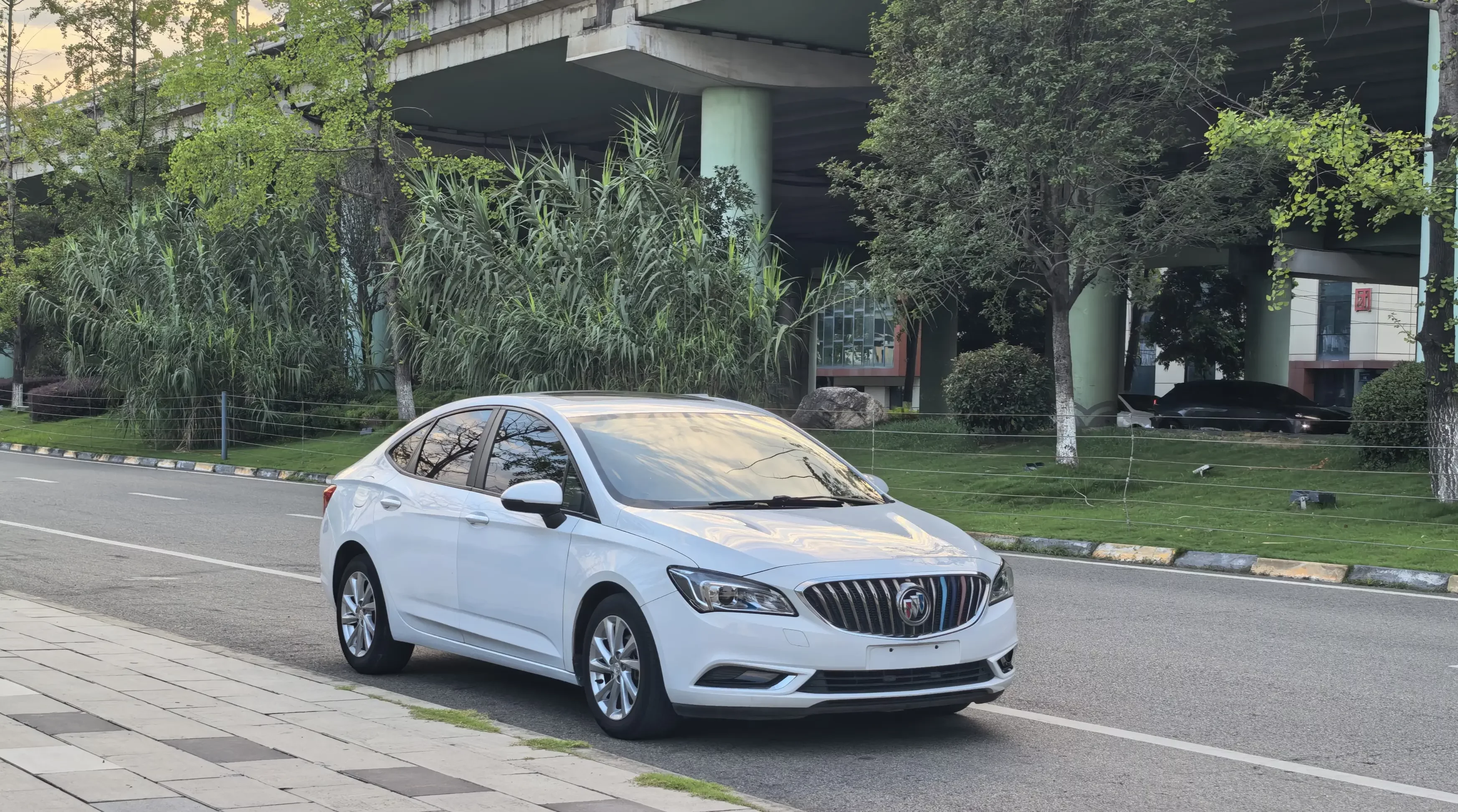 Buick Valeant