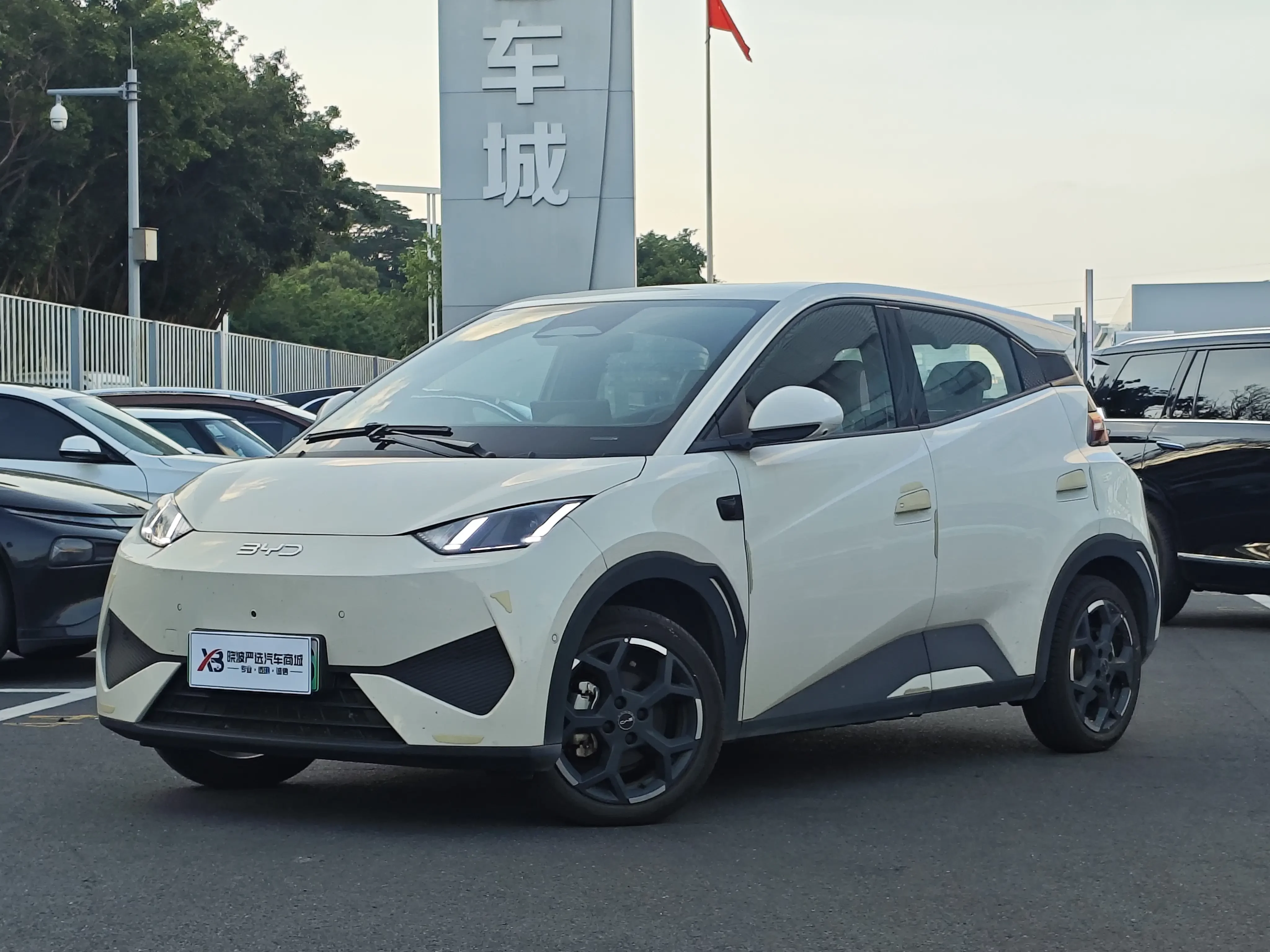 BYD seagull