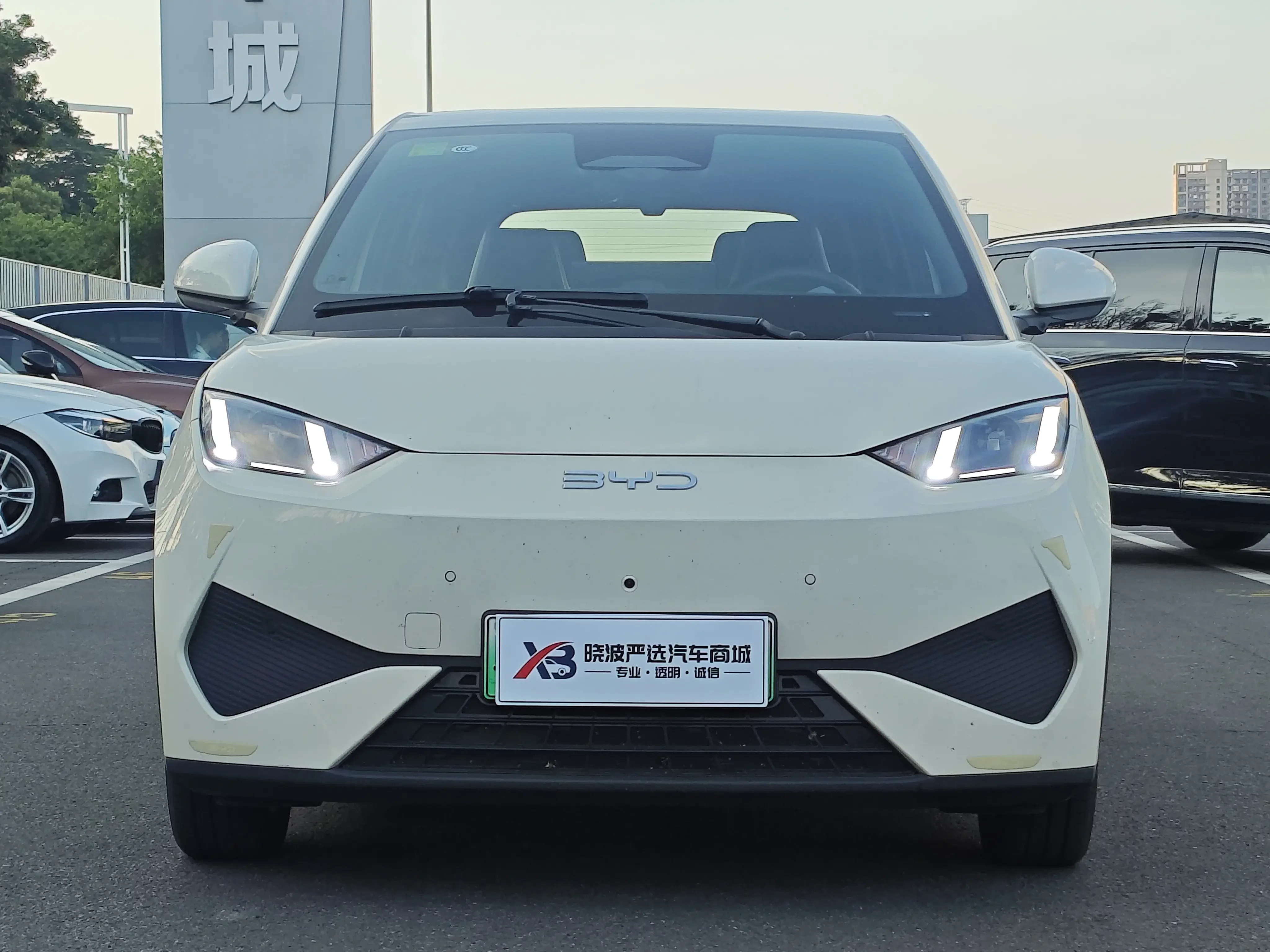 BYD seagull