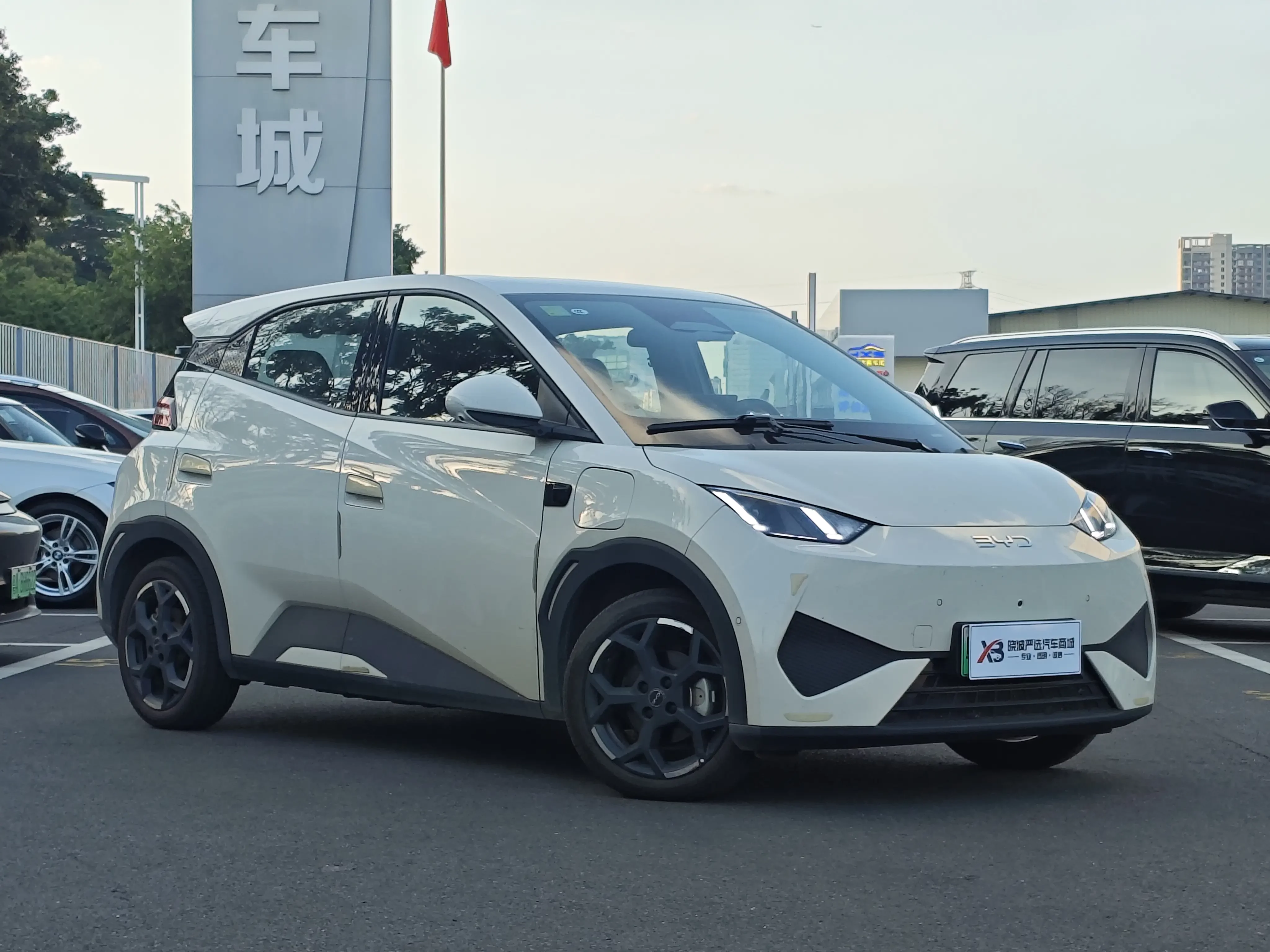 BYD seagull