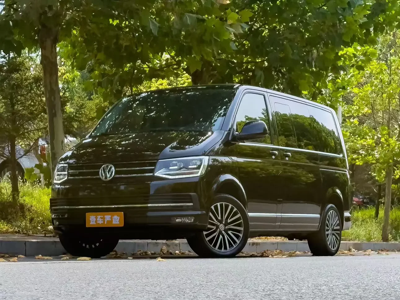 Volkswagen Metroway