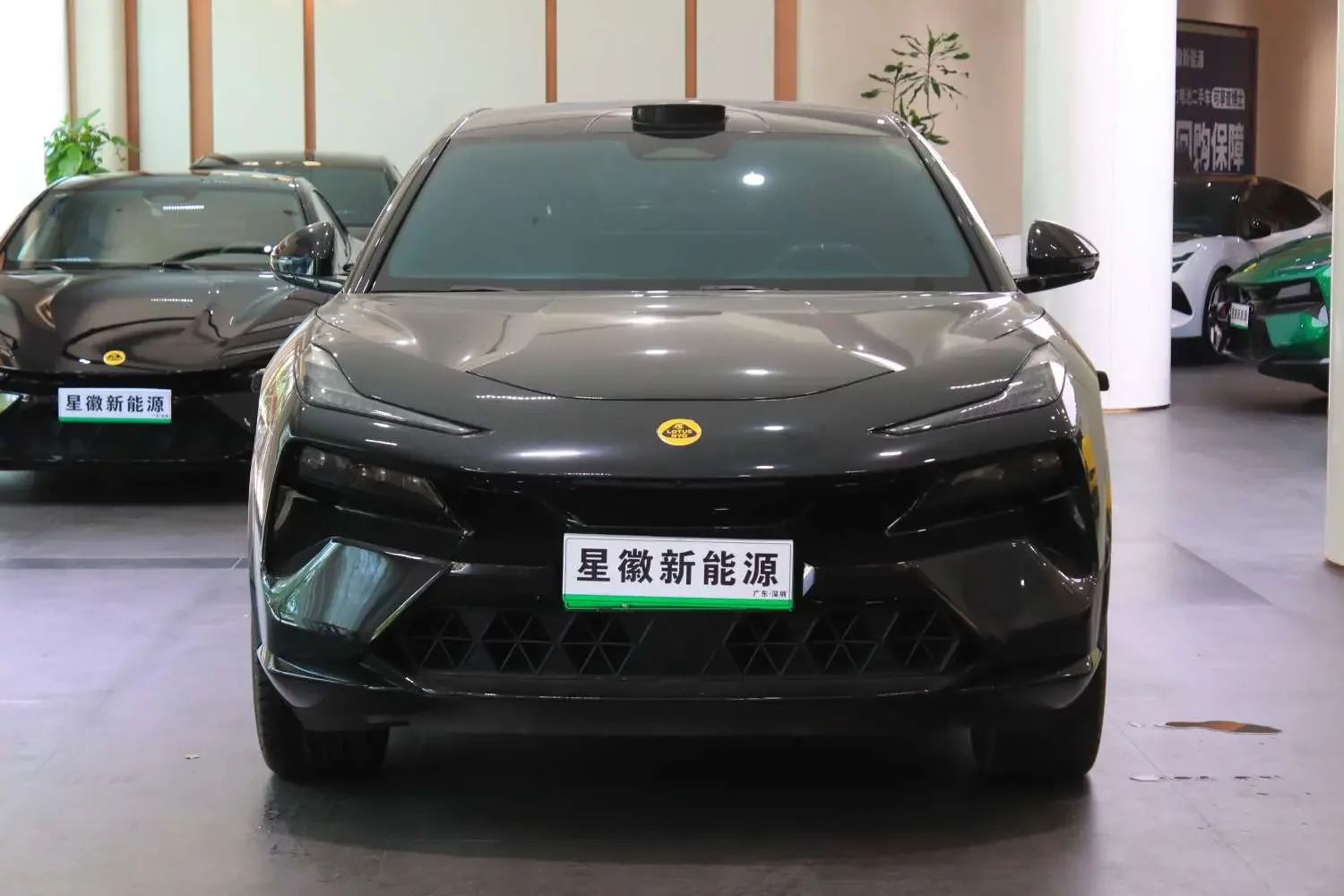Lotus Eletre